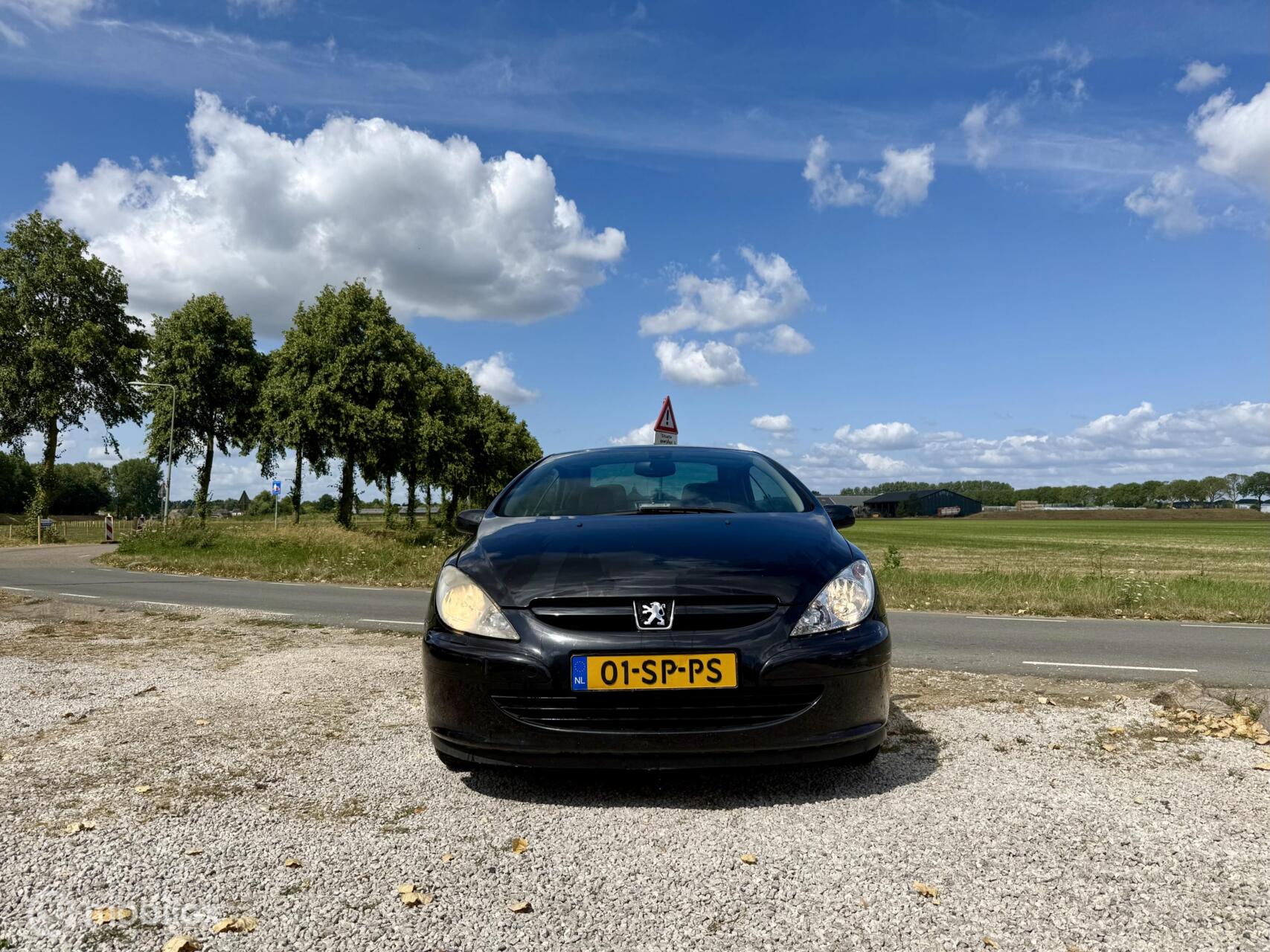Foto van Peugeot 307