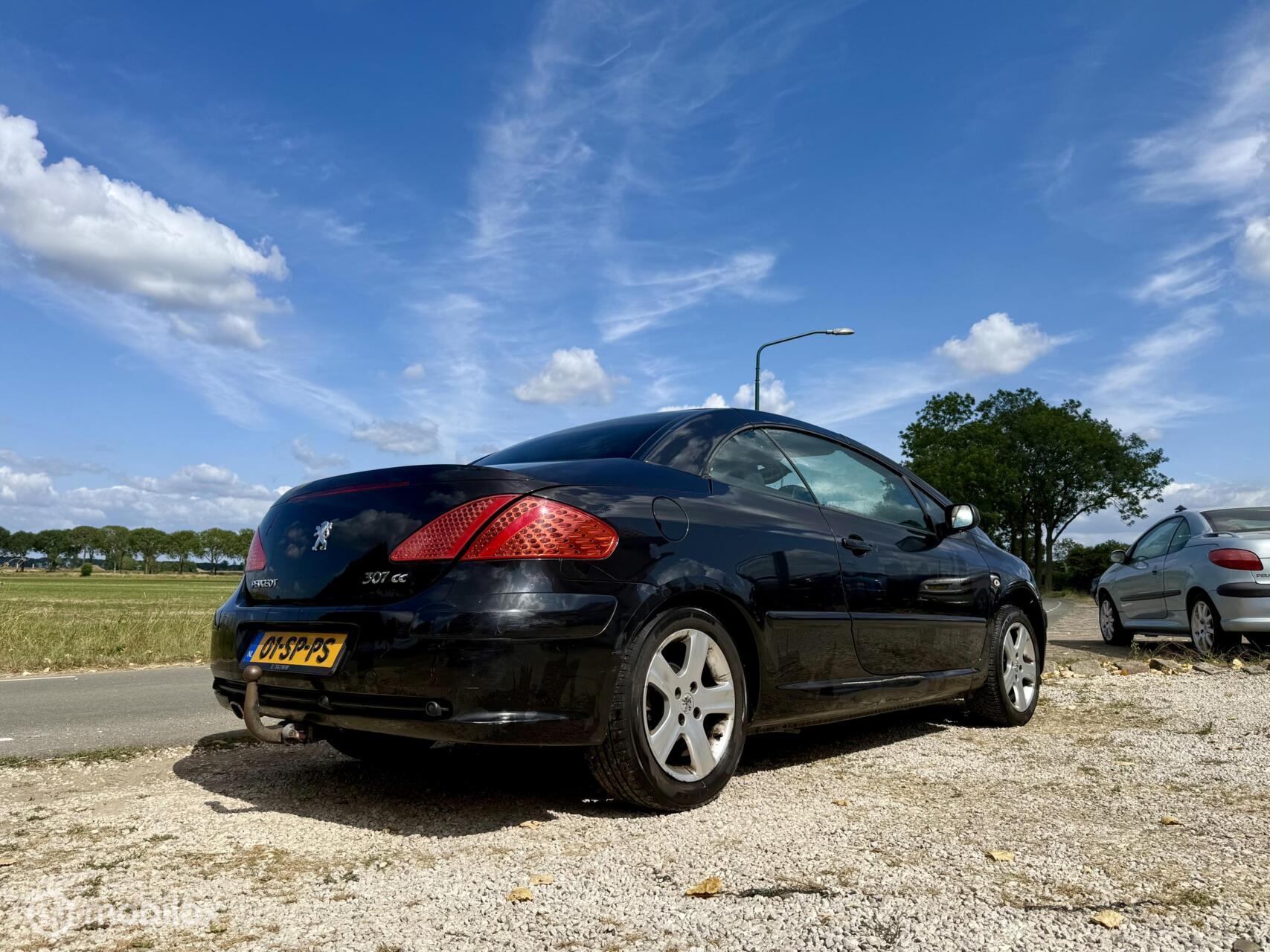 Foto van Peugeot 307