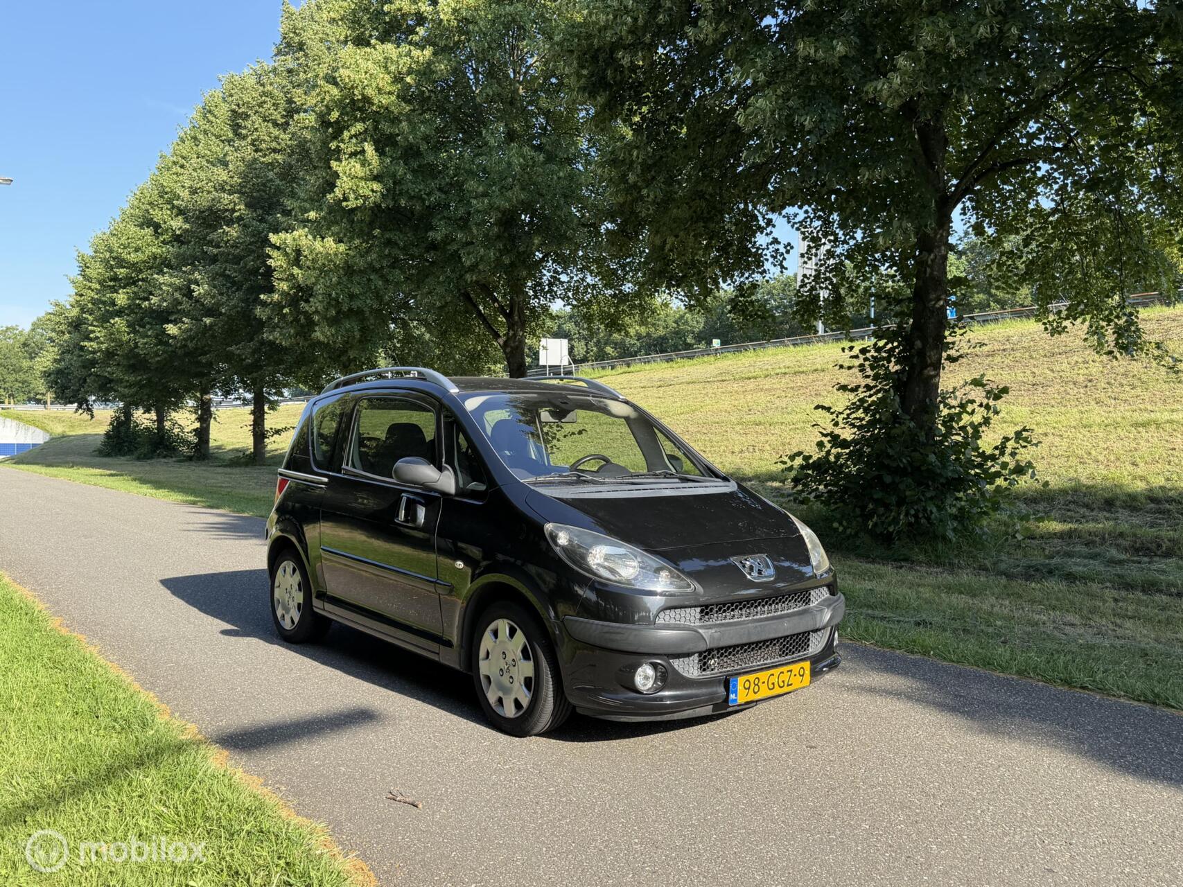 Foto van Peugeot 1007