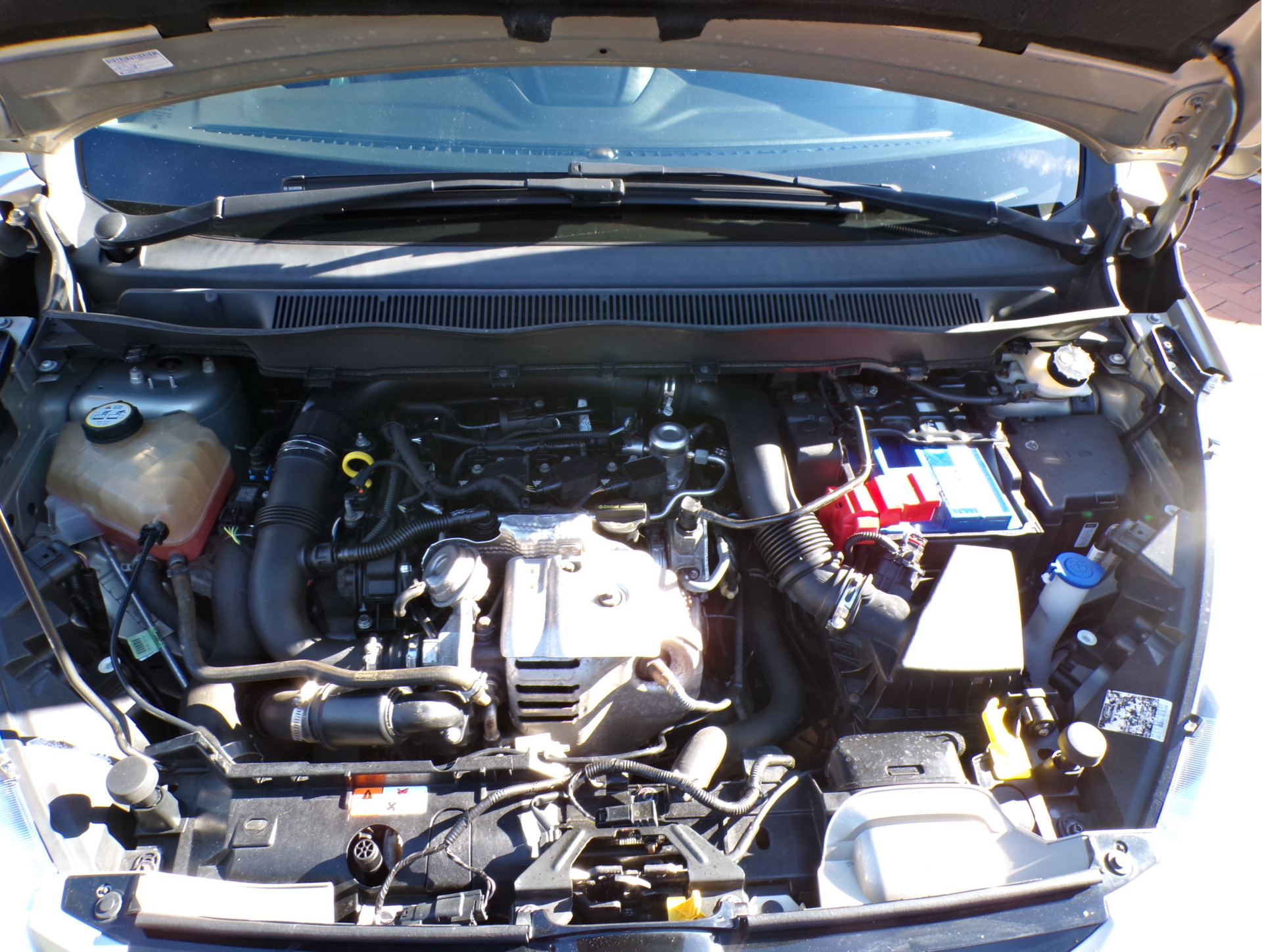 Foto van Ford B-max