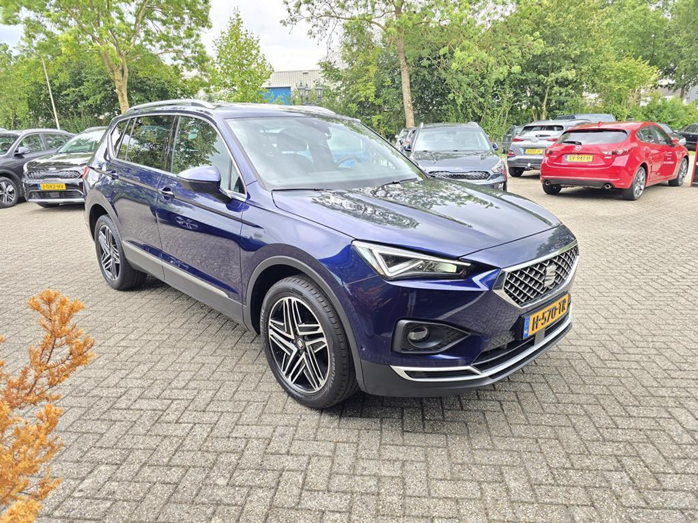 Foto van Seat Tarraco