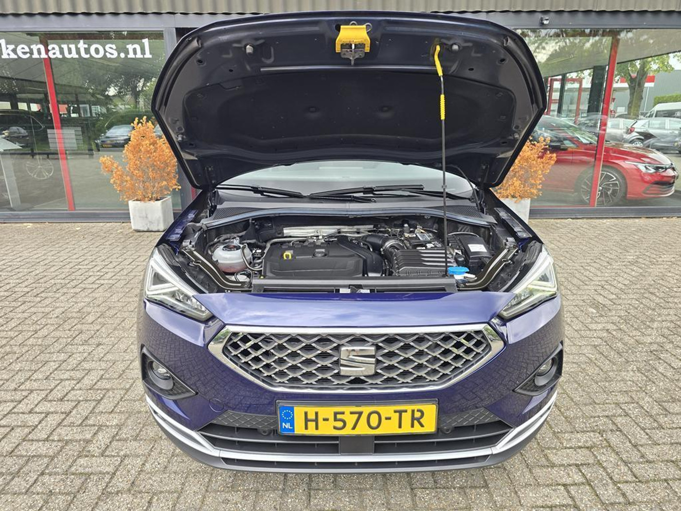 Foto van Seat Tarraco