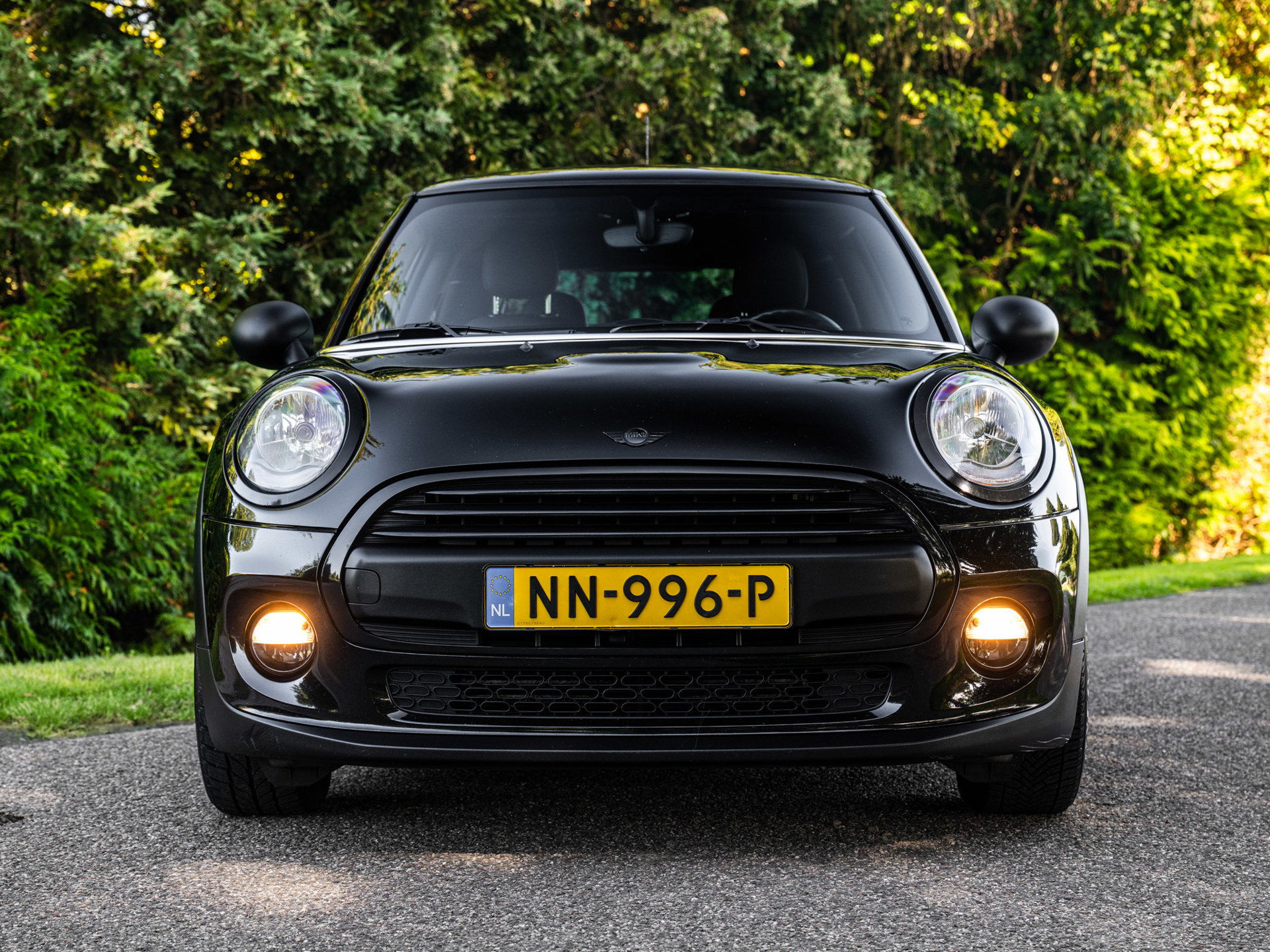 Foto van Mini One D