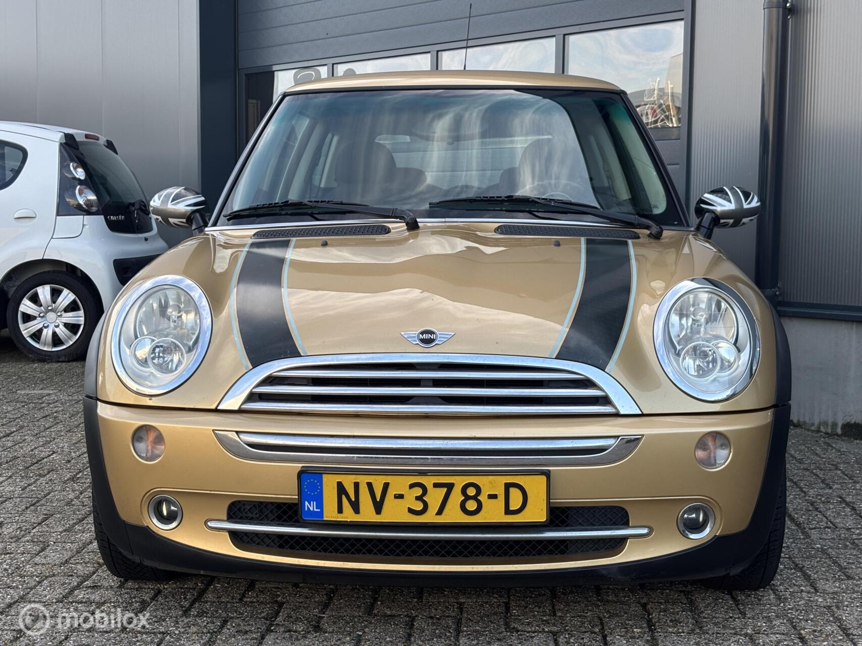 Foto van Mini Mini One