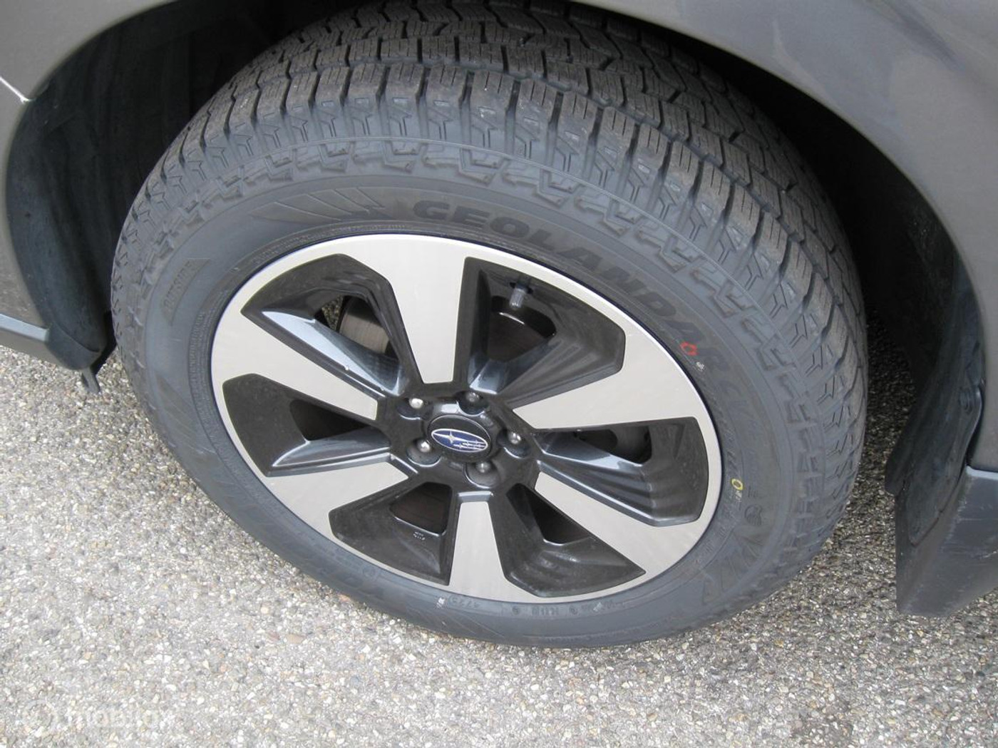 Foto van Subaru Forester