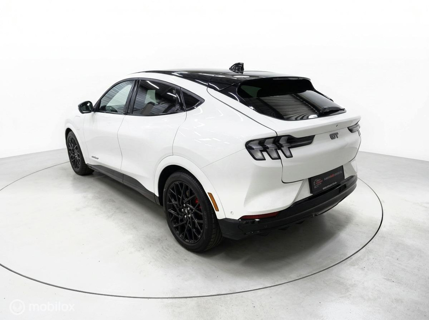 Foto van Ford Mustang Mach-e