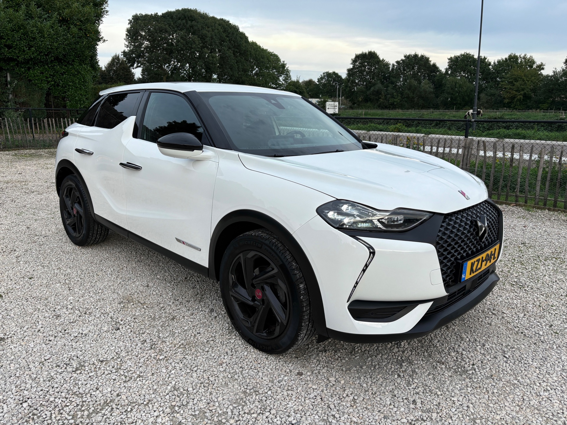 Foto van DS 3 Crossback