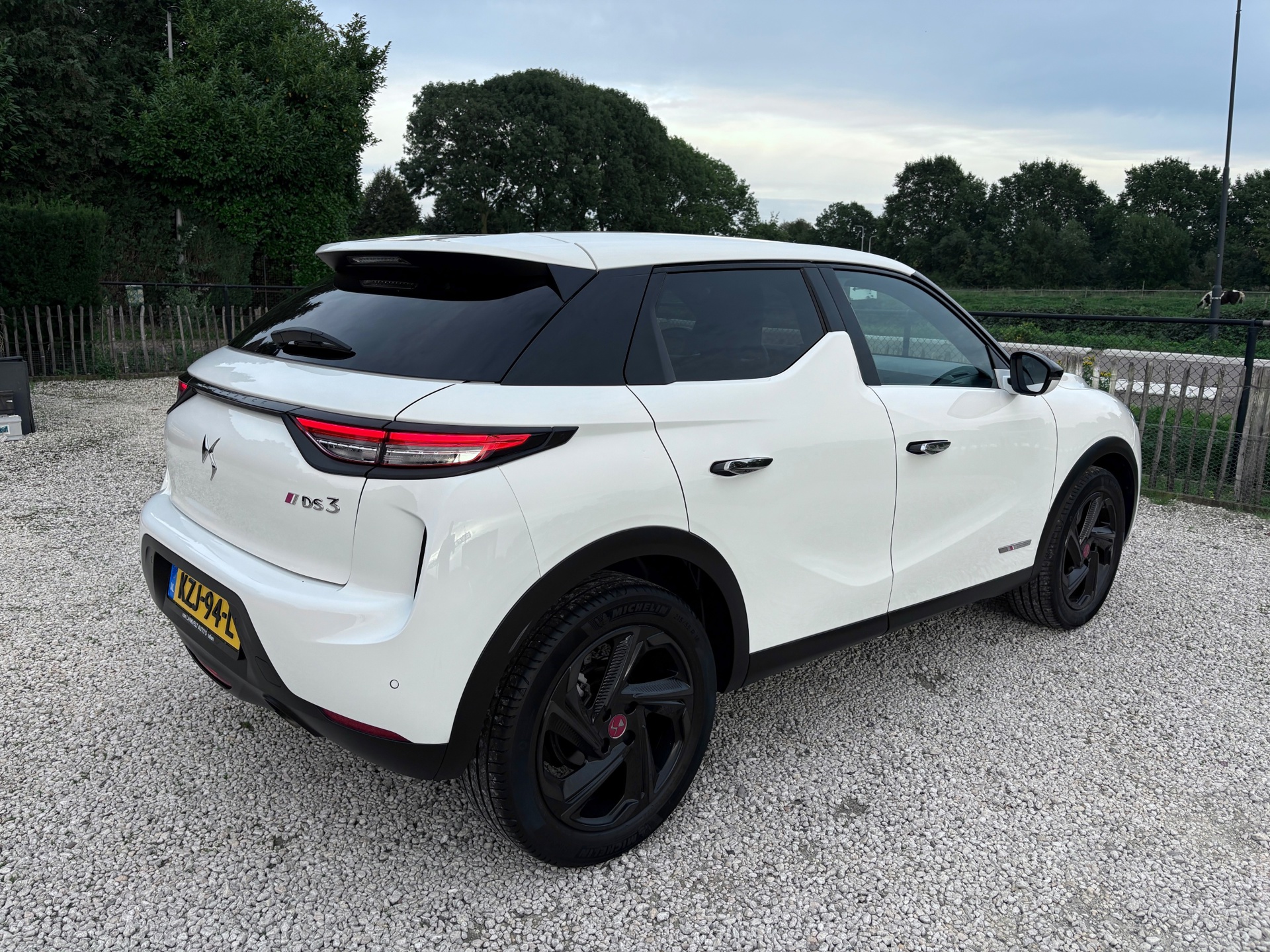 Foto van DS 3 Crossback