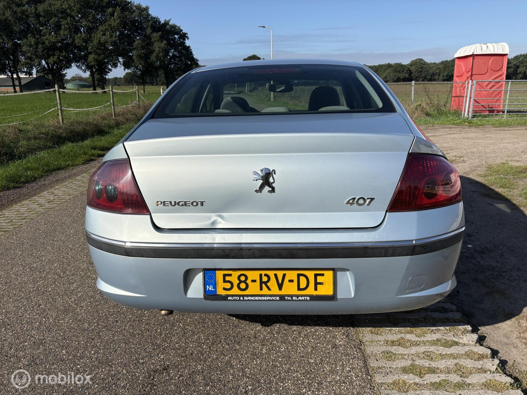 Foto van Peugeot 407