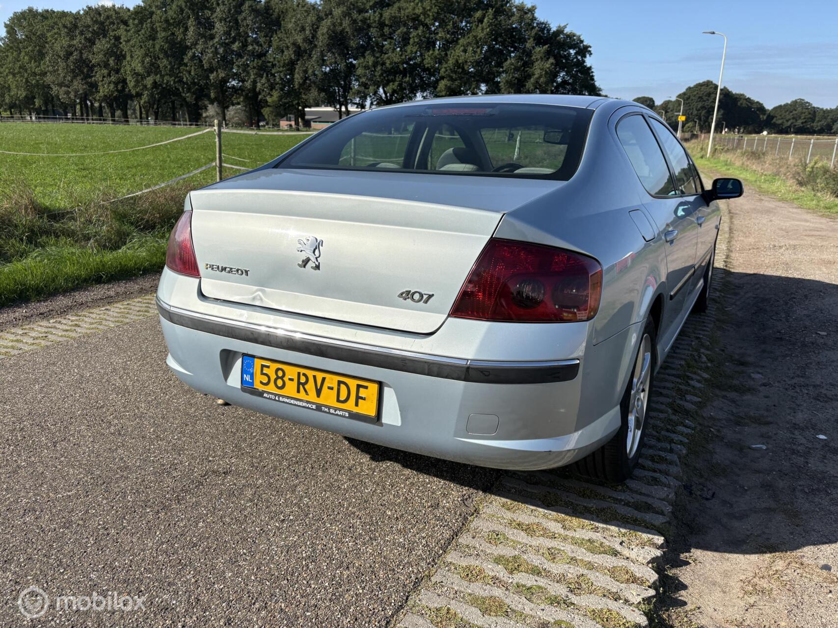 Foto van Peugeot 407