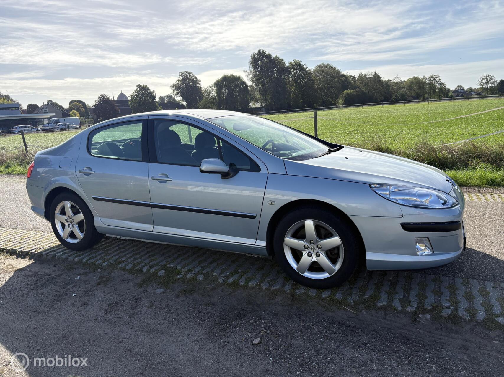 Foto van Peugeot 407