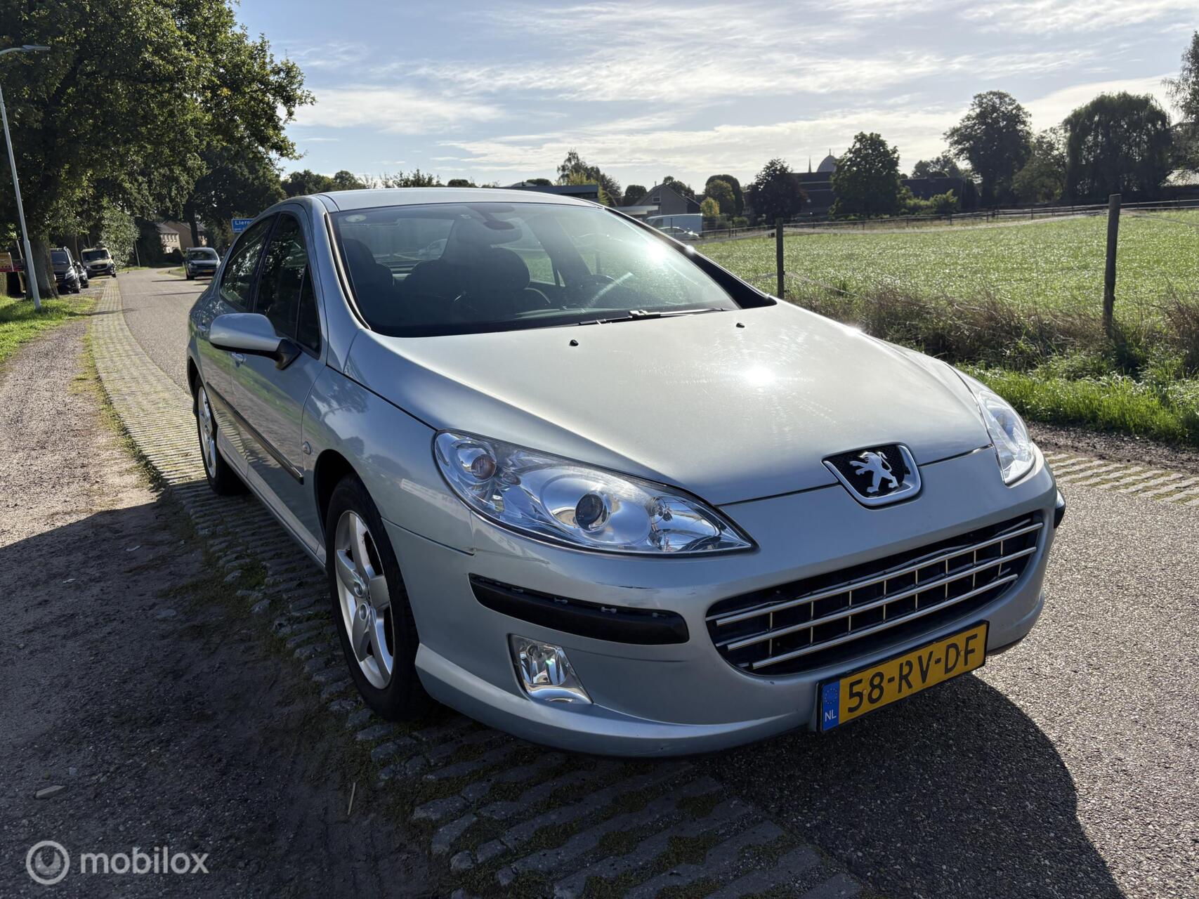 Foto van Peugeot 407