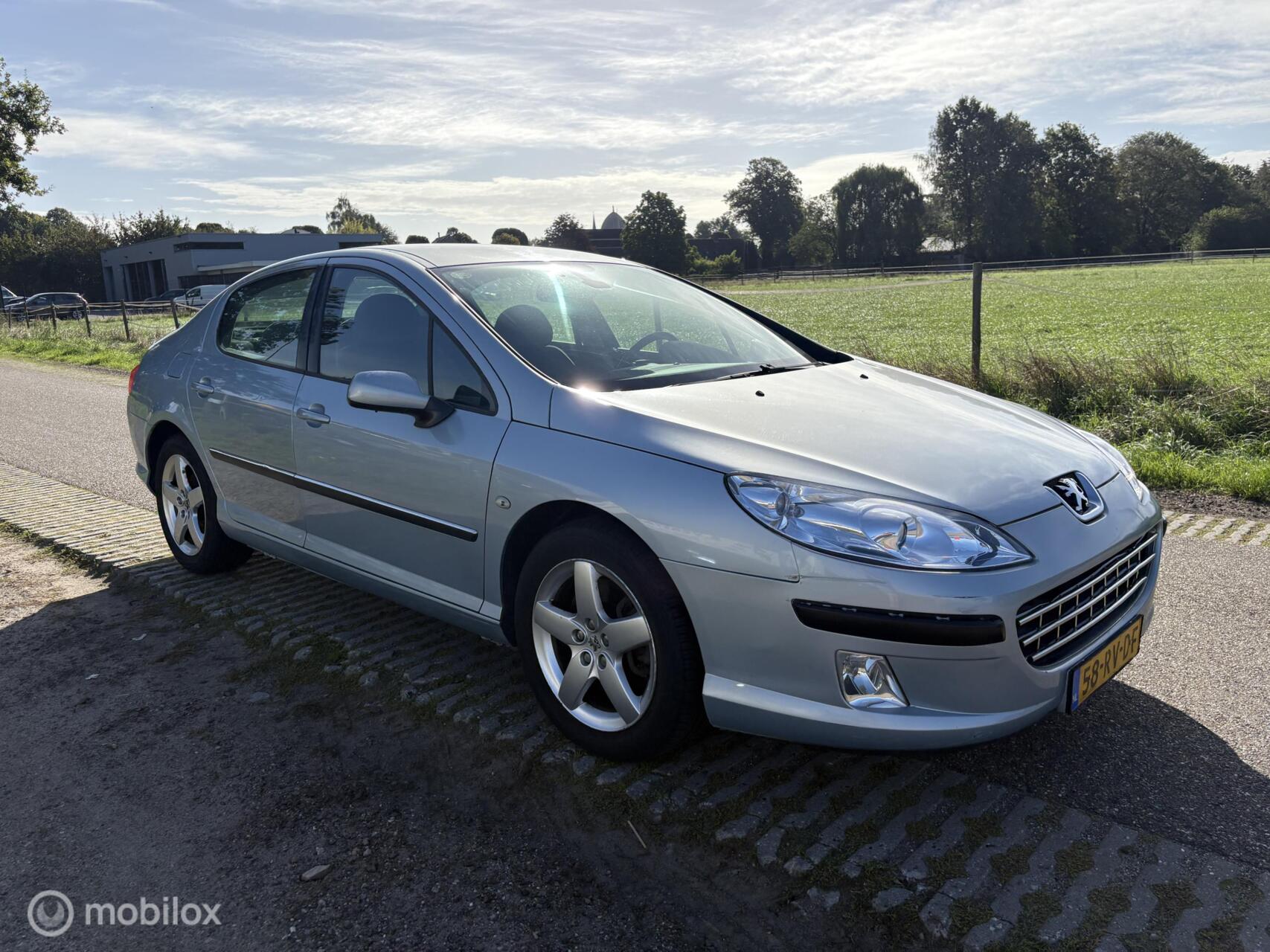 Foto van Peugeot 407