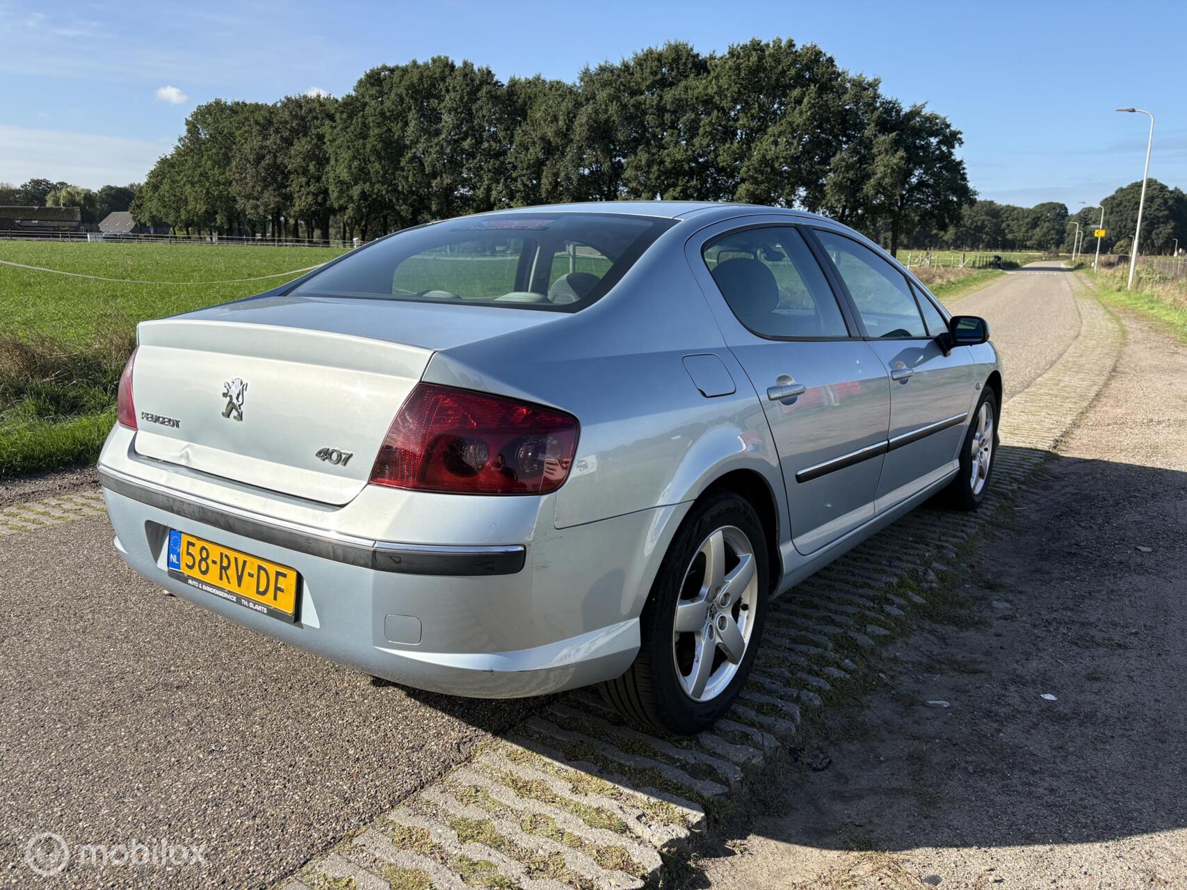 Foto van Peugeot 407
