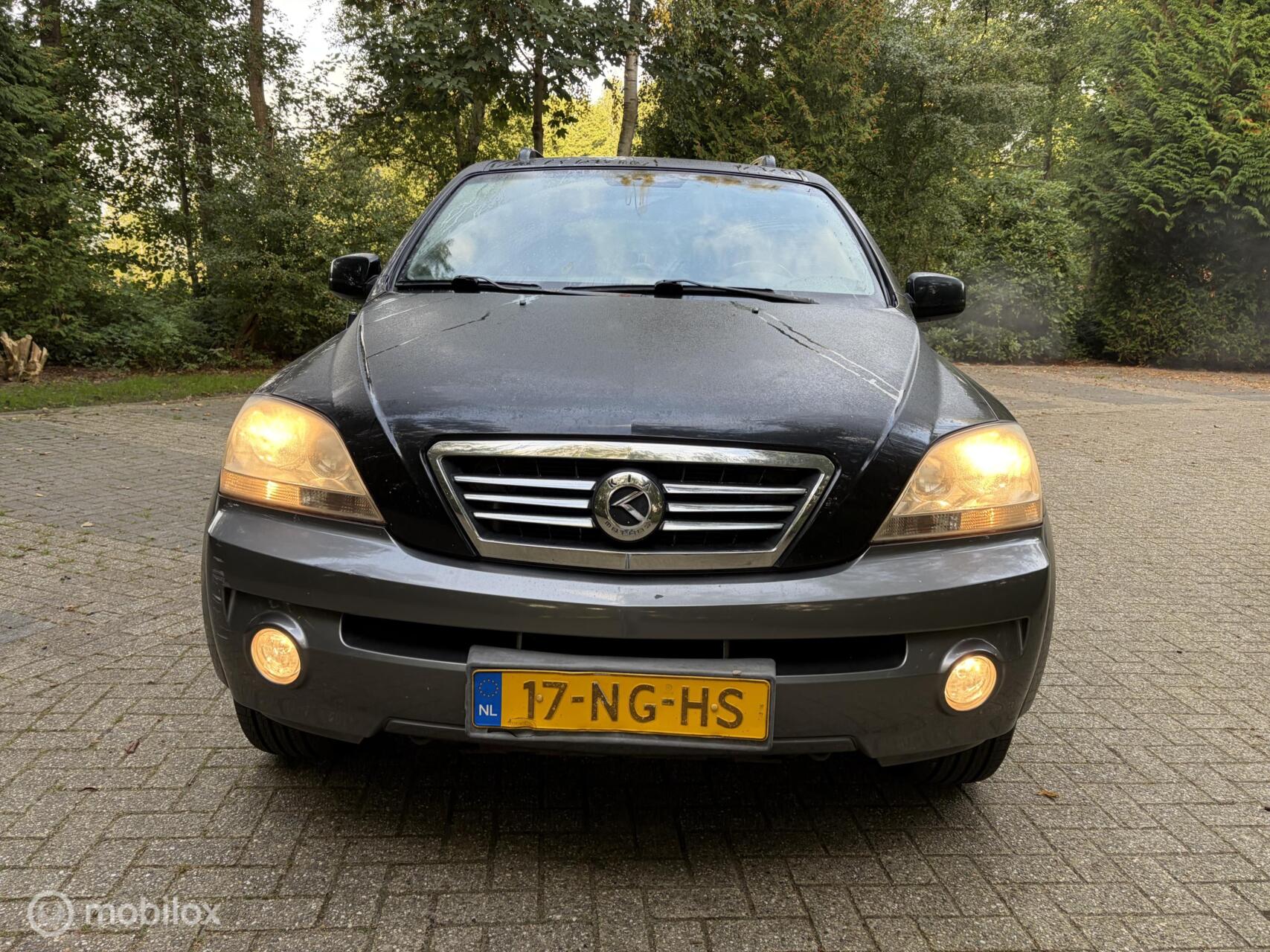 Foto van Kia Sorento