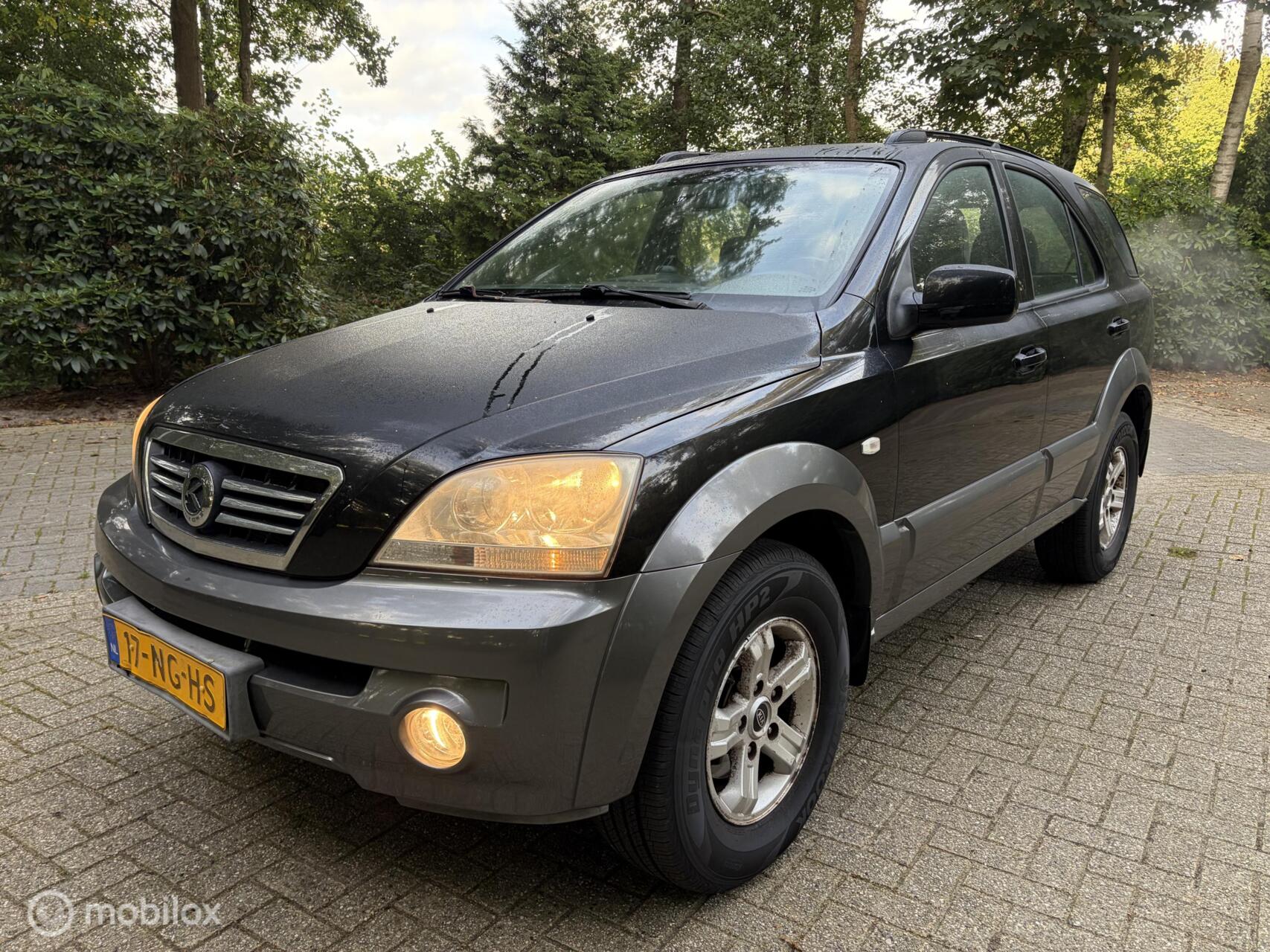 Foto van Kia Sorento