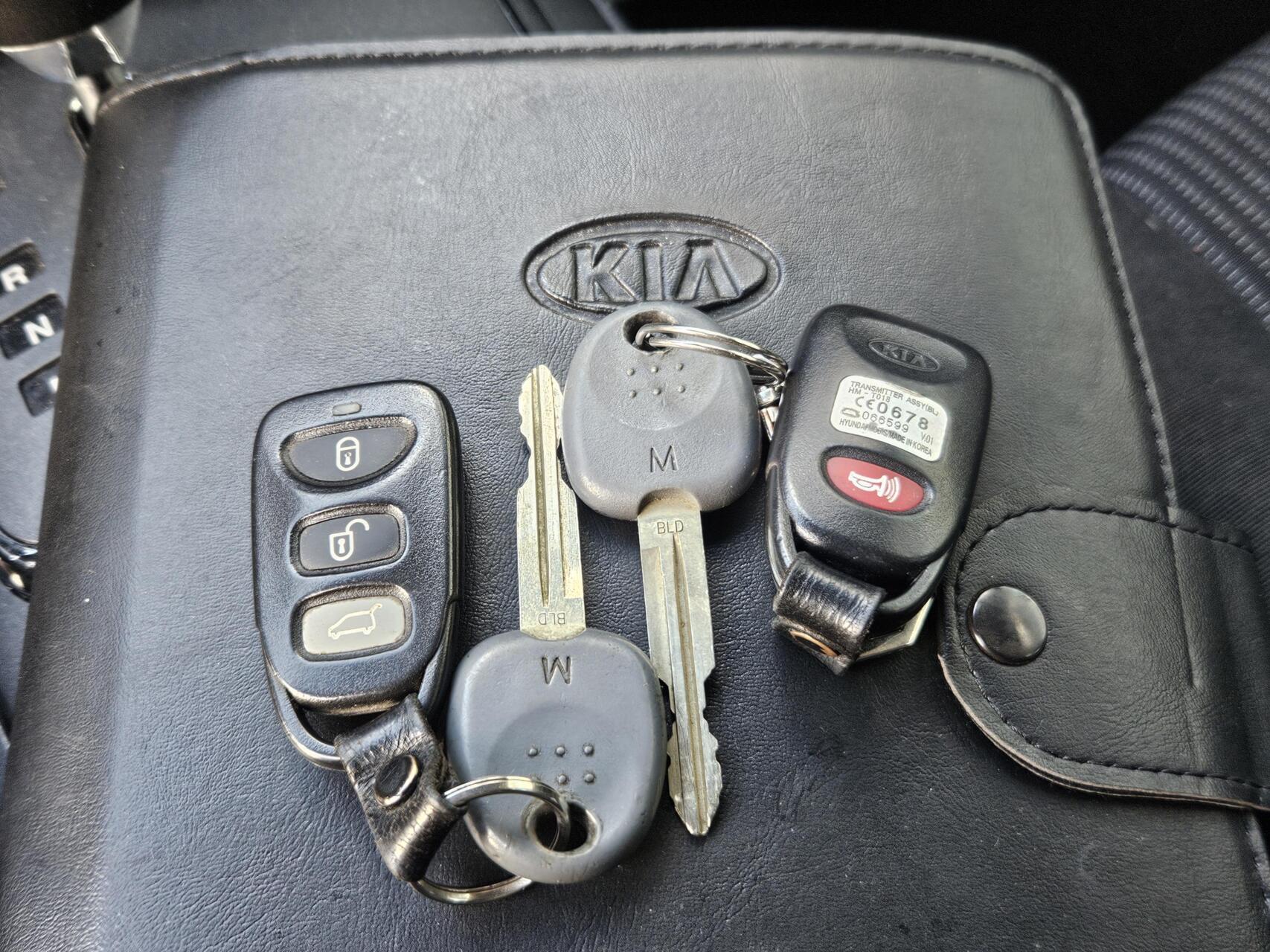 Foto van Kia Sorento