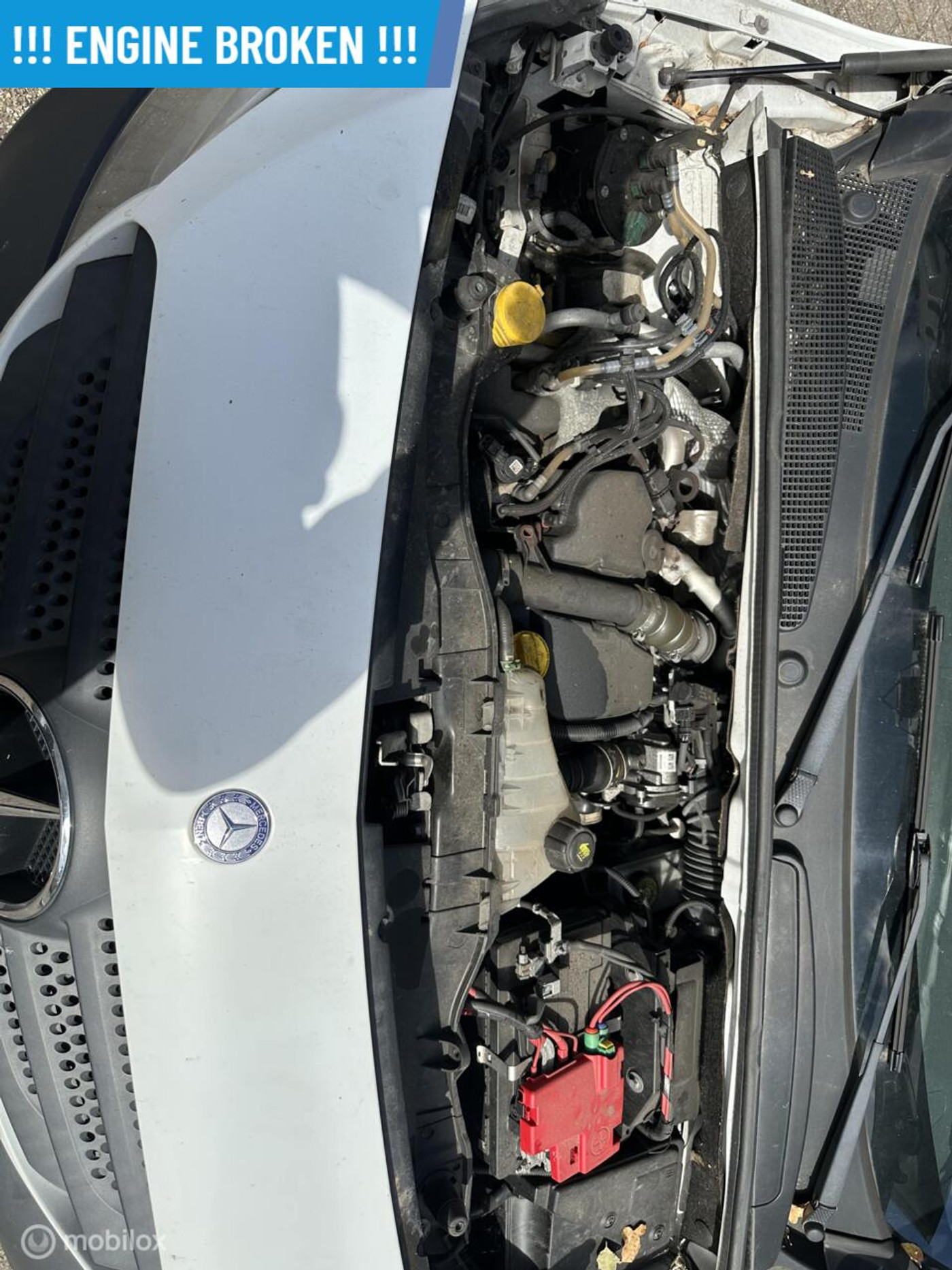 Foto van Mercedes-Benz Citan