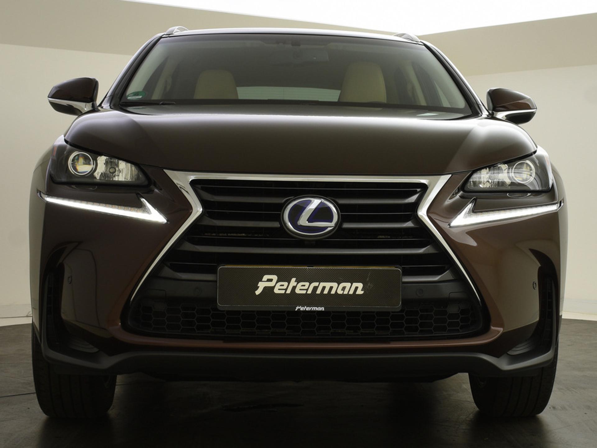 Foto van Lexus Lexus Nx300h