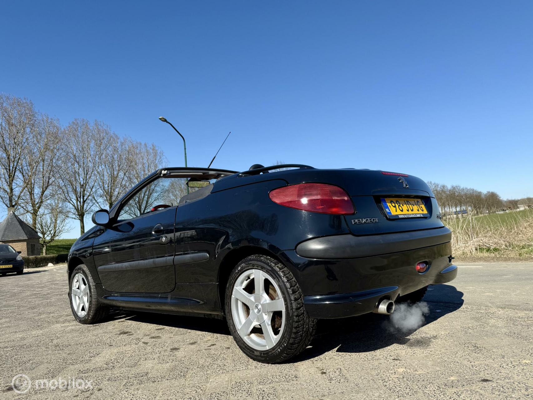 Foto van Peugeot 206 CC
