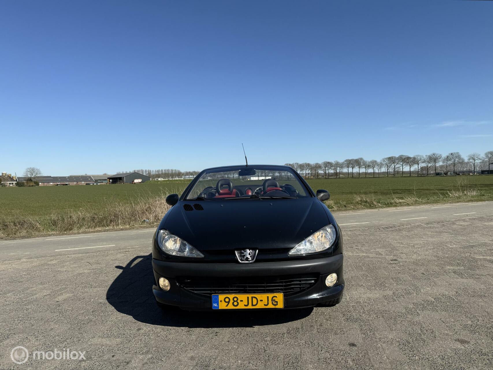 Foto van Peugeot 206 CC
