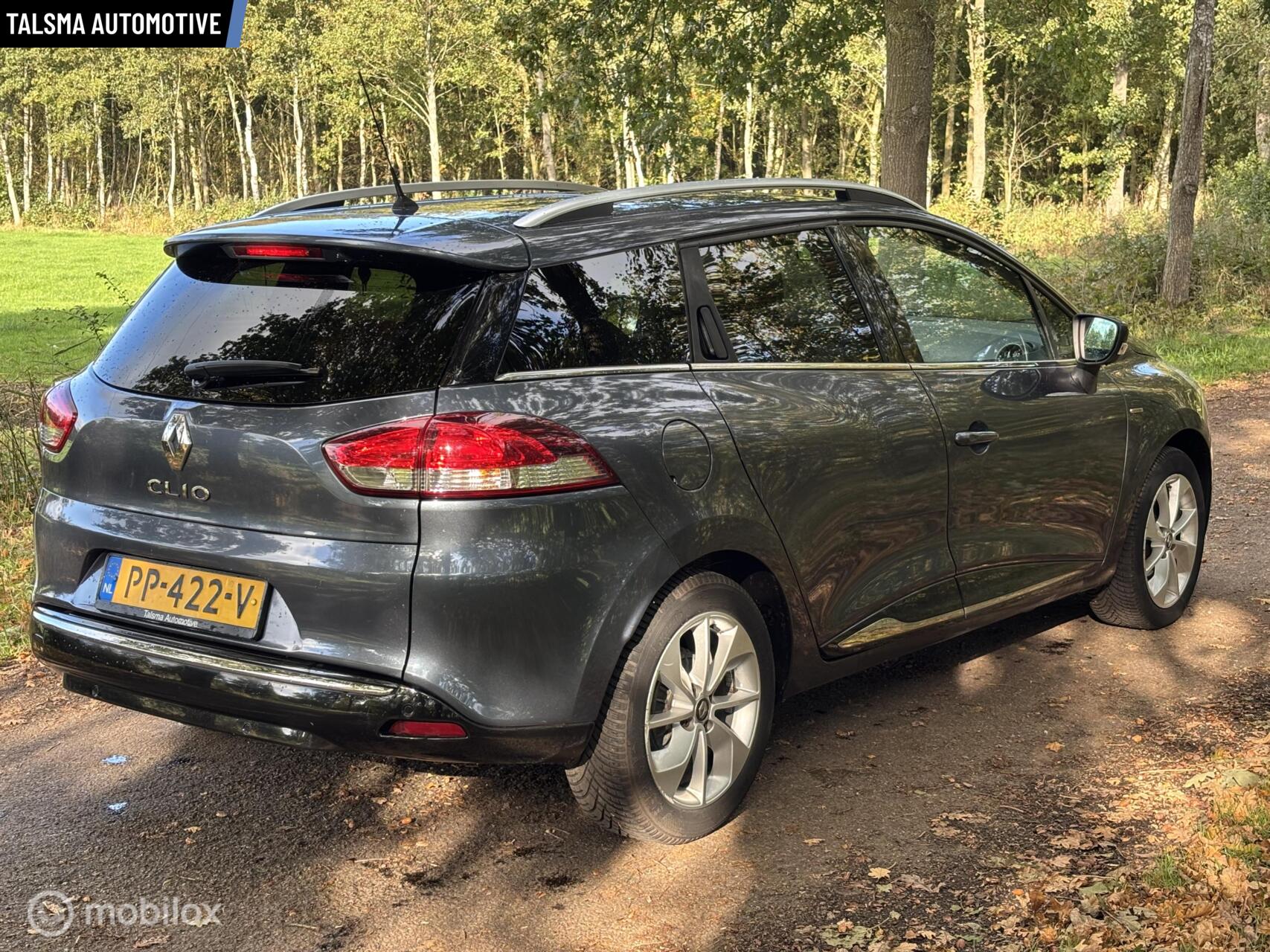 Foto van Renault Clio Estate