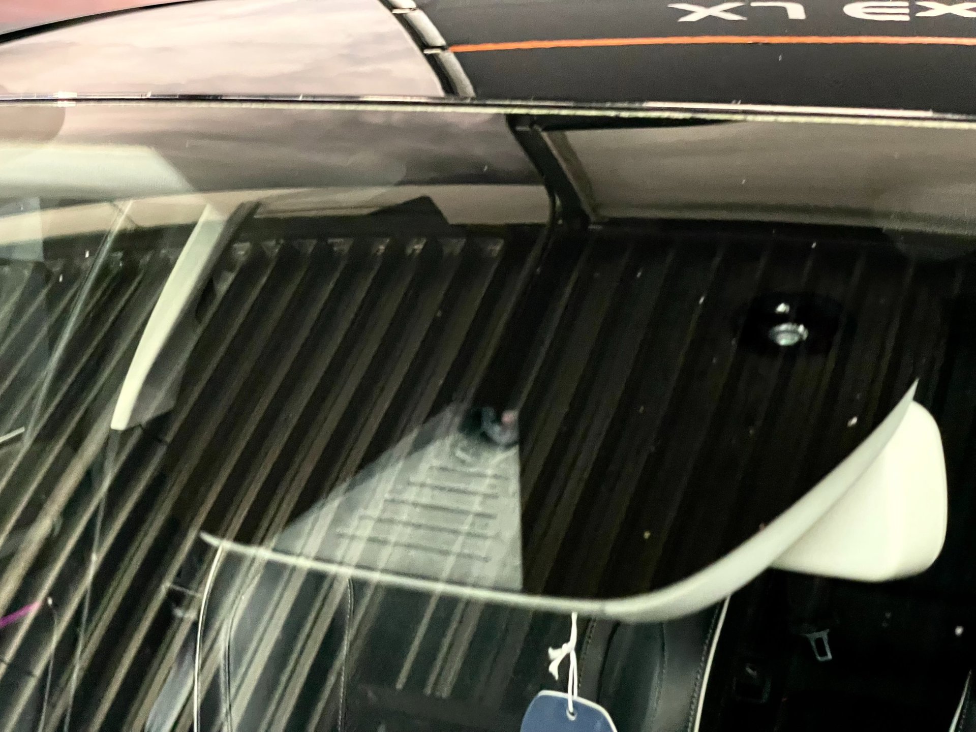 Foto van Renault Megane