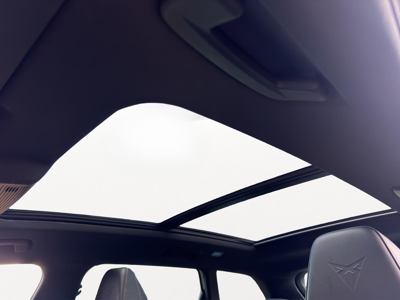 Foto van Cupra Leon Sportstourer