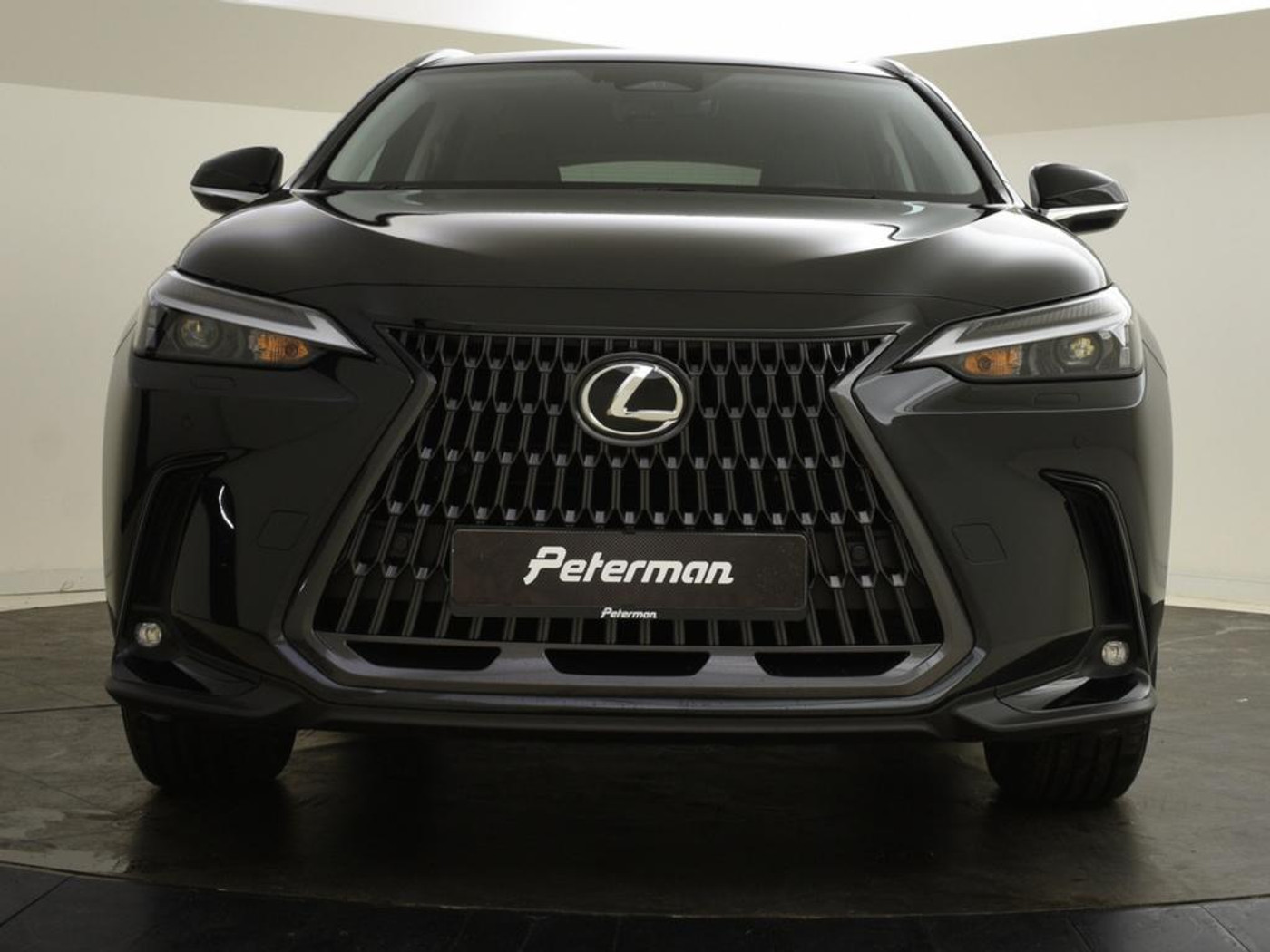 Foto van Lexus NX