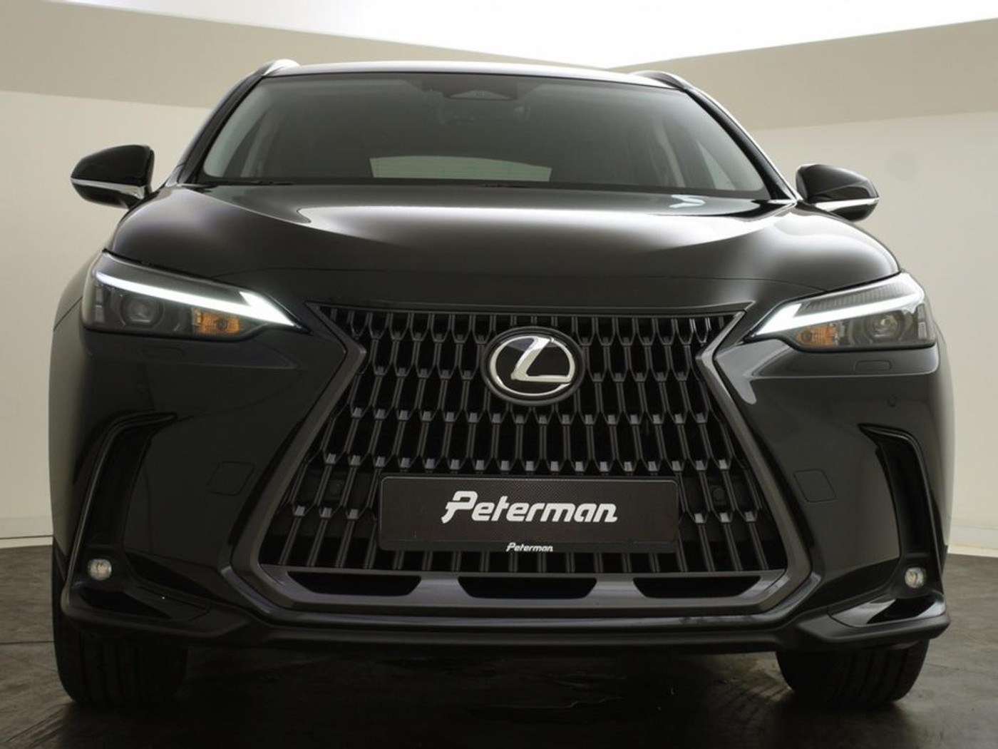 Foto van Lexus NX