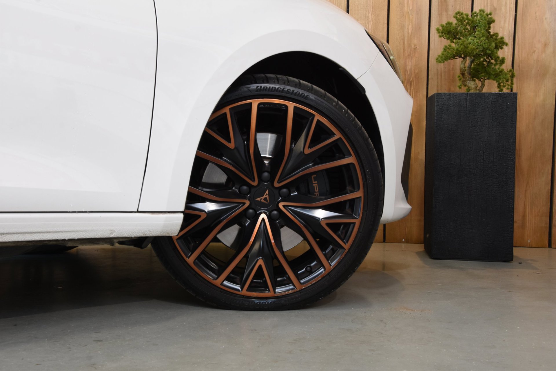 Foto van Cupra Leon