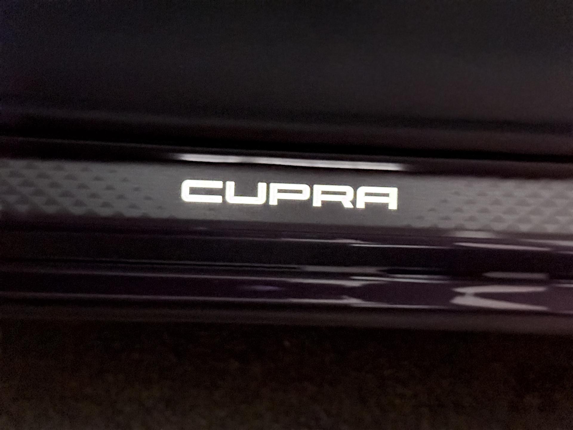 Foto van Cupra Terramar