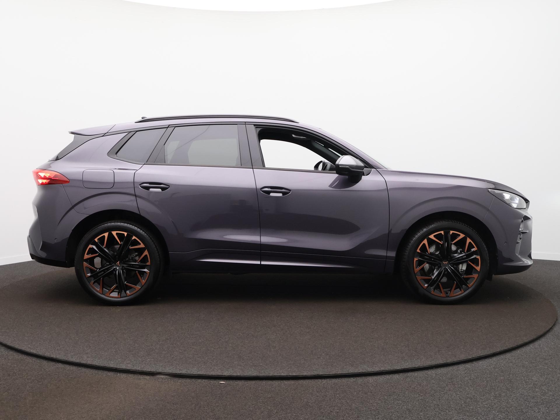 Foto van Cupra Terramar