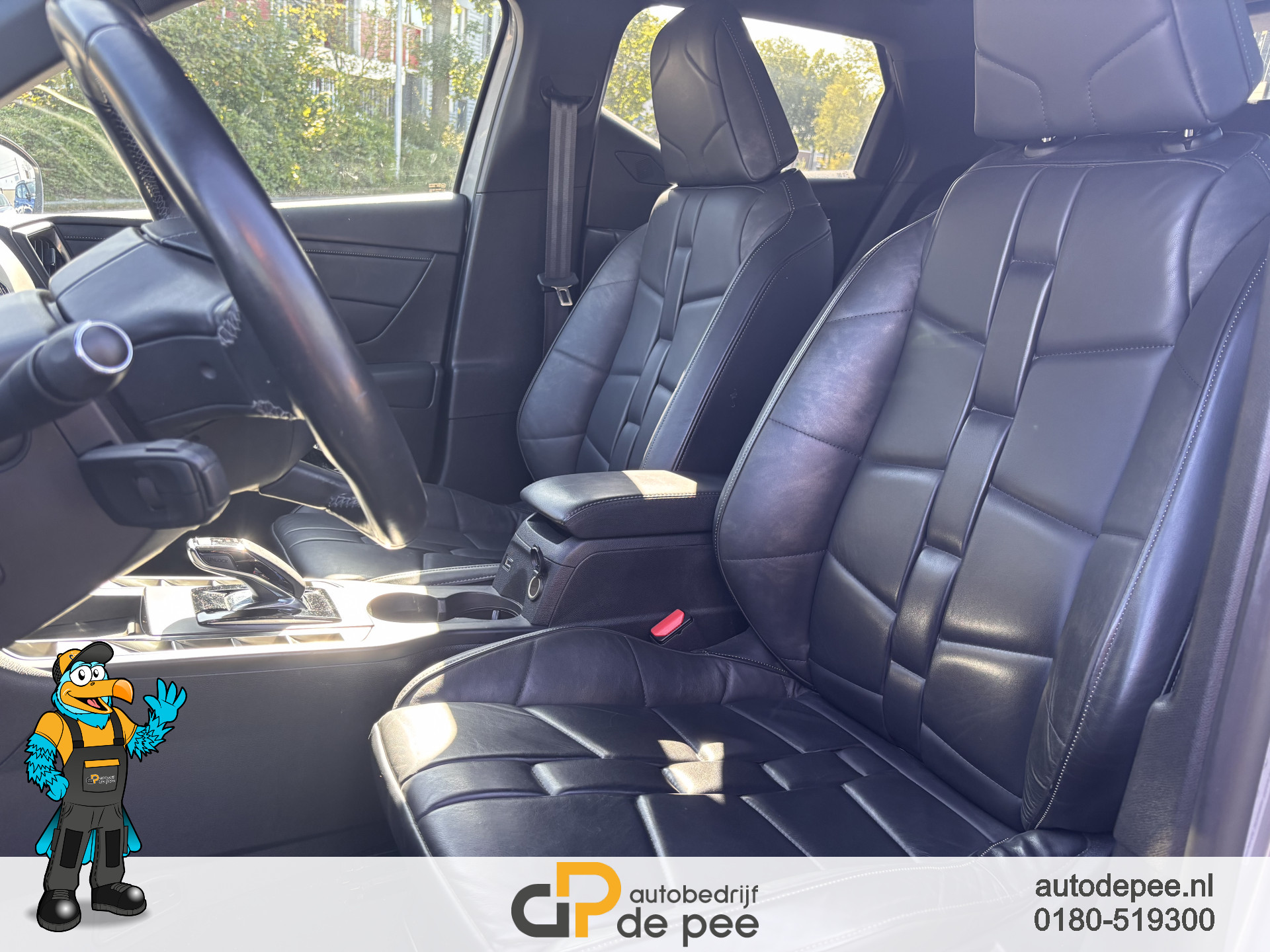 Foto van DS DS 3 Crossback