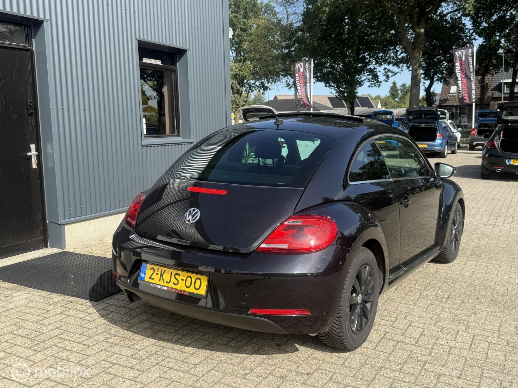 Foto van Volkswagen Beetle