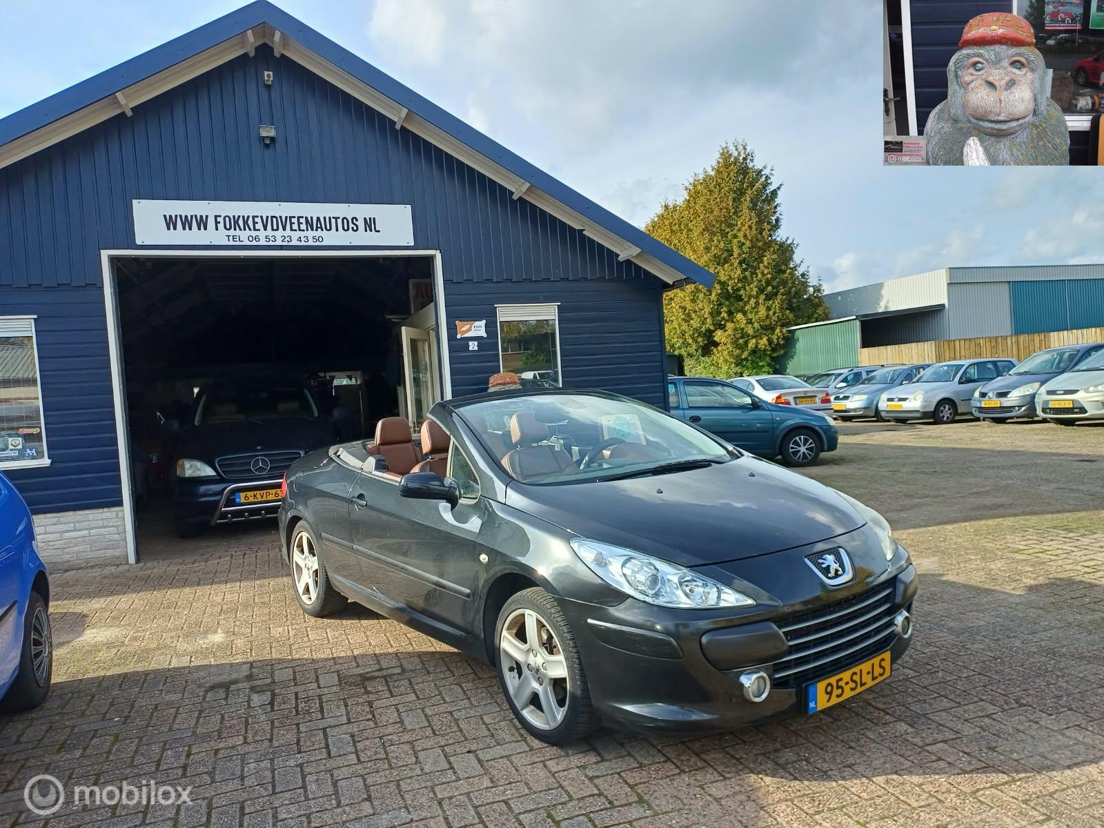 Peugeot 307 2.0-16V Garantie, alle inruil mogelijk 2006 - voorkant