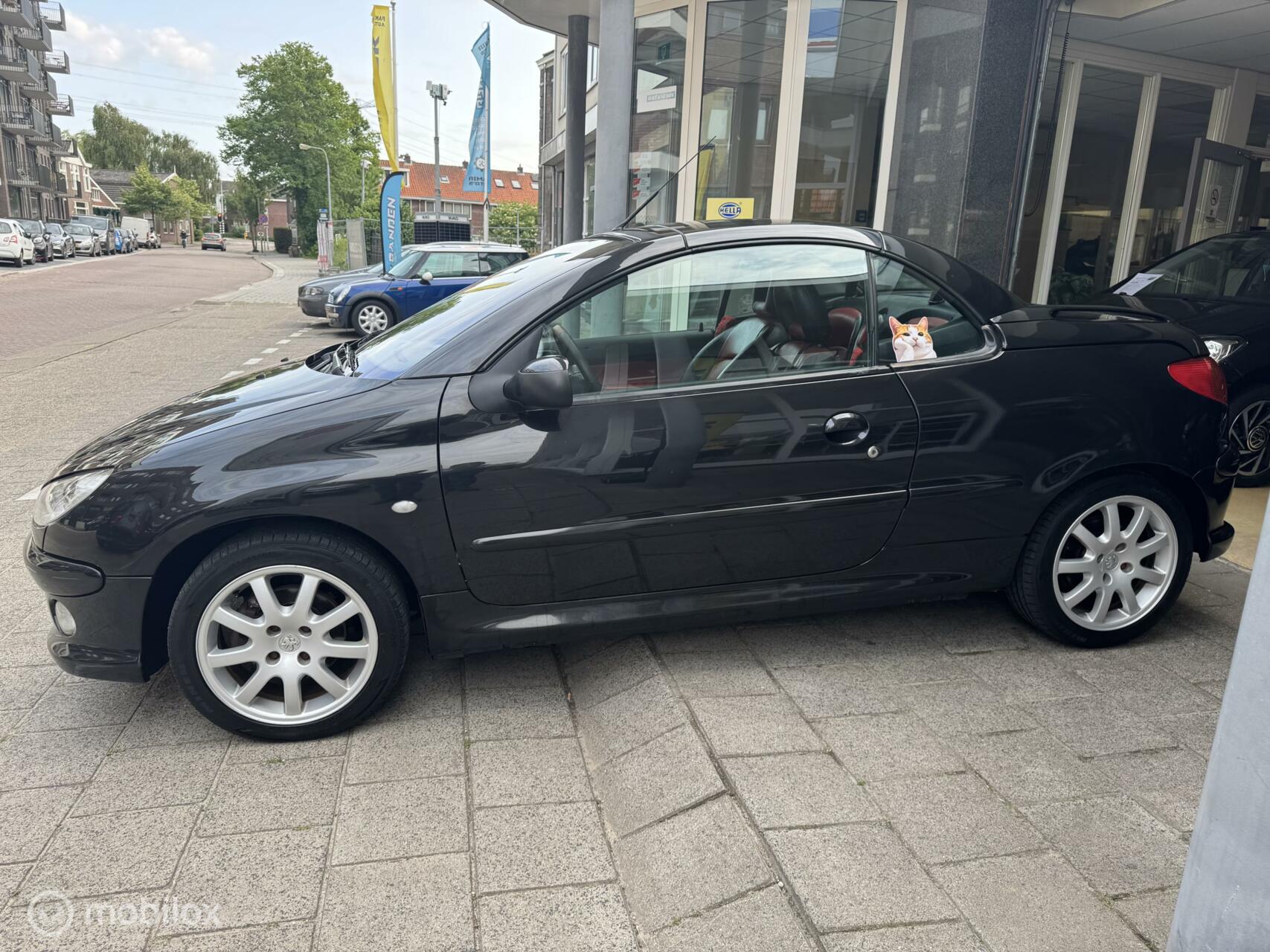 Foto van Peugeot 206 CC