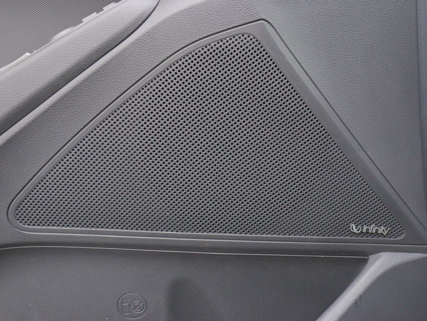 Foto van Hyundai Ioniq