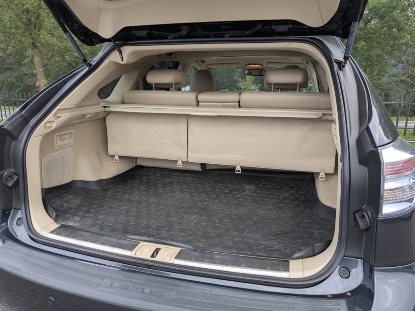 Foto van Lexus RX