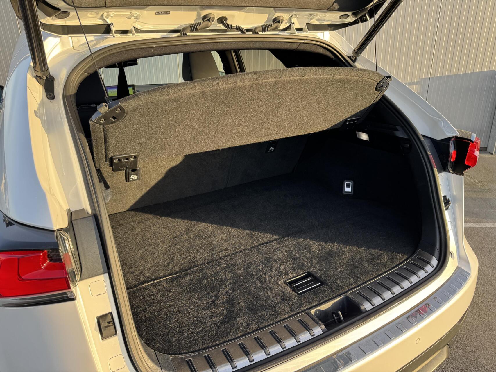 Foto van Lexus Lexus Nx300h