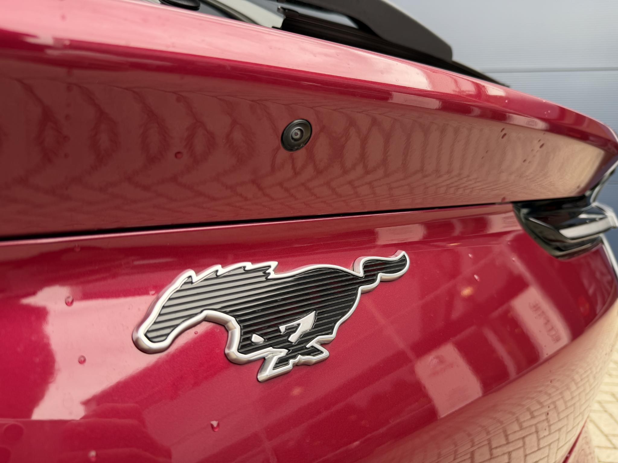 Foto van Ford Mustang Mach-e