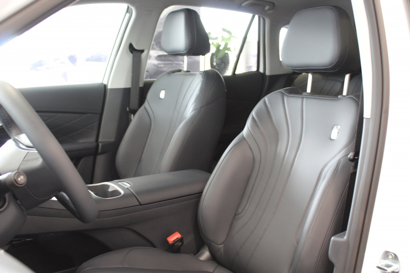 Foto van Geely Starray Em-i