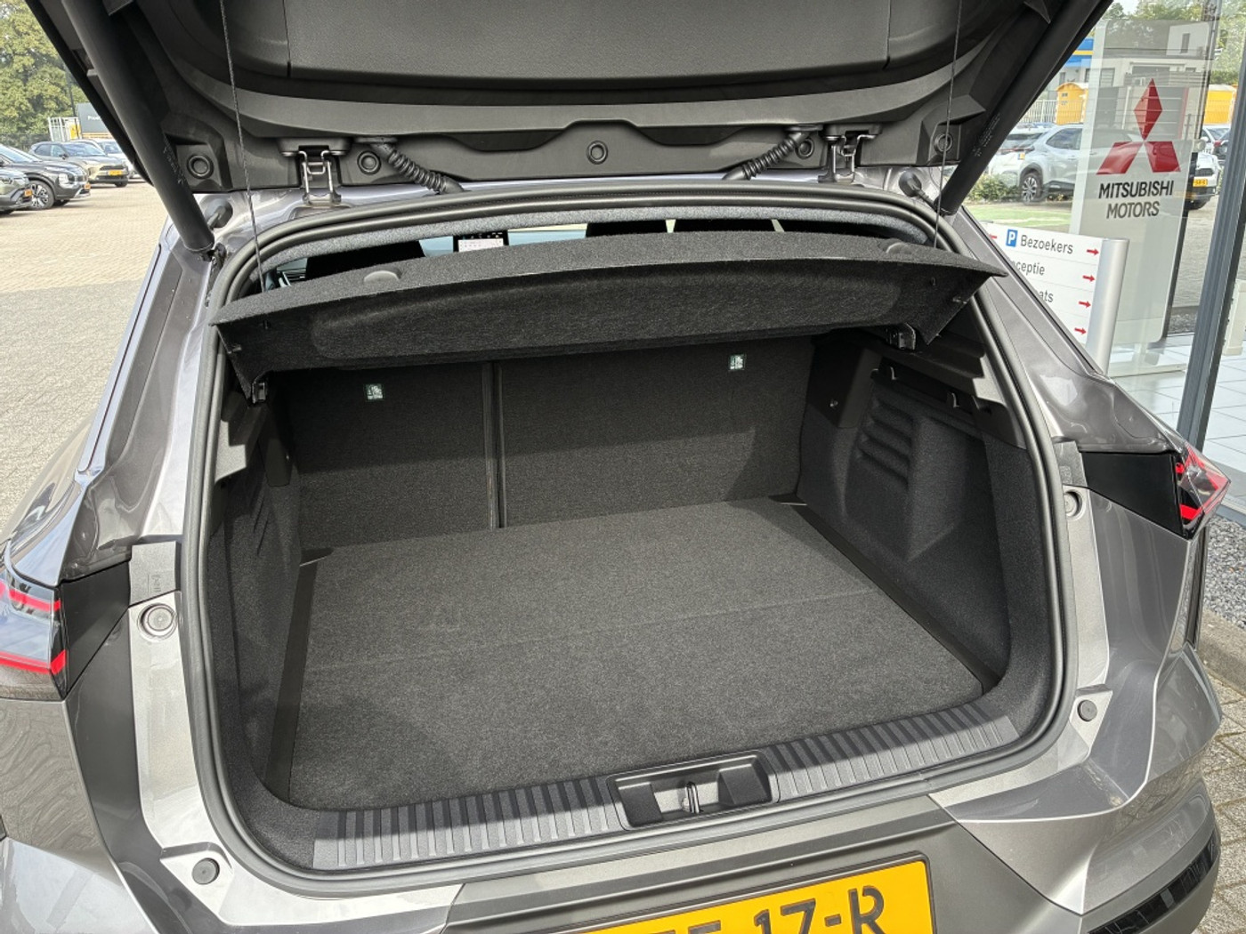 Foto van Mitsubishi Grandis