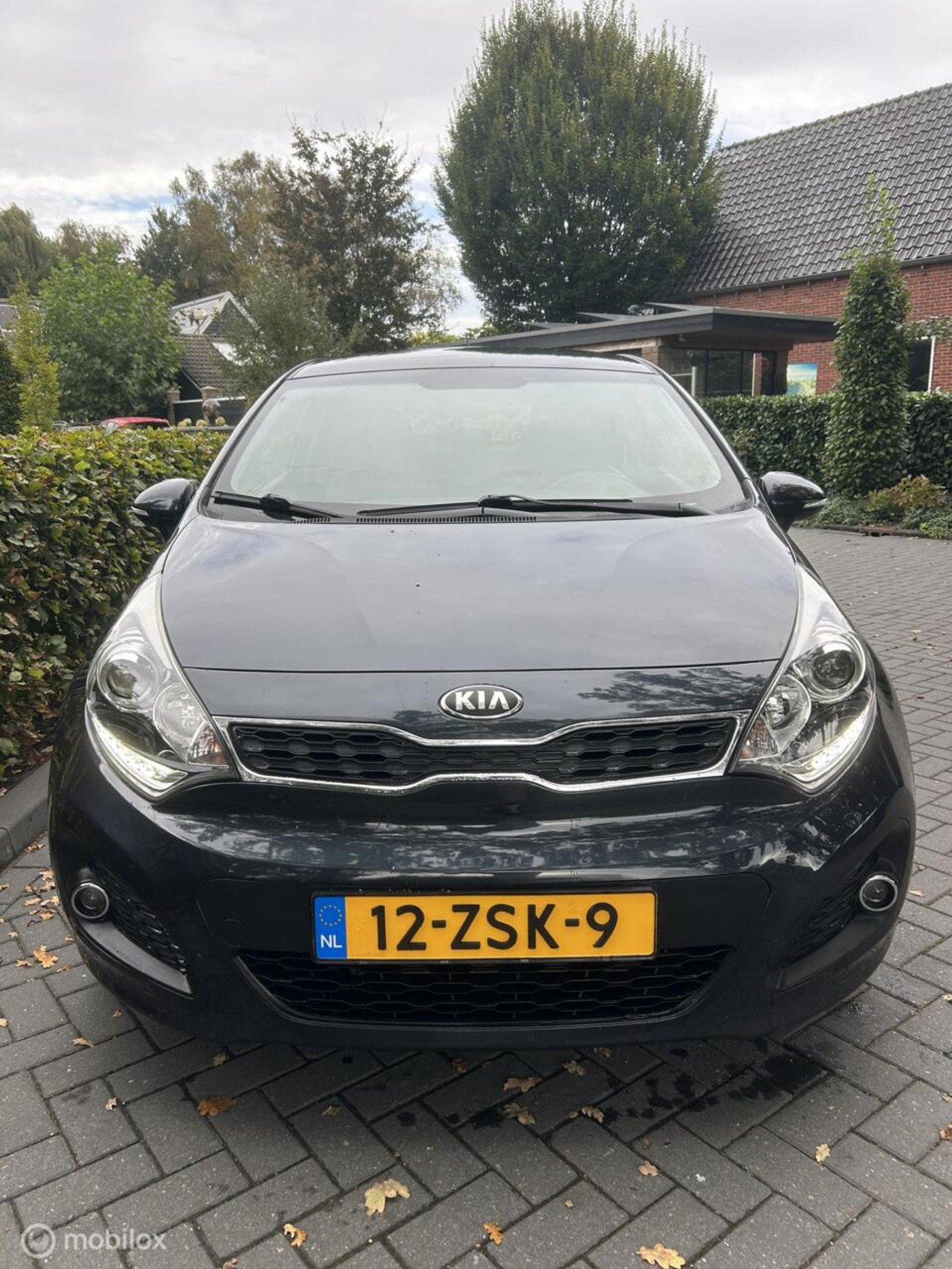 Foto van Kia Rio