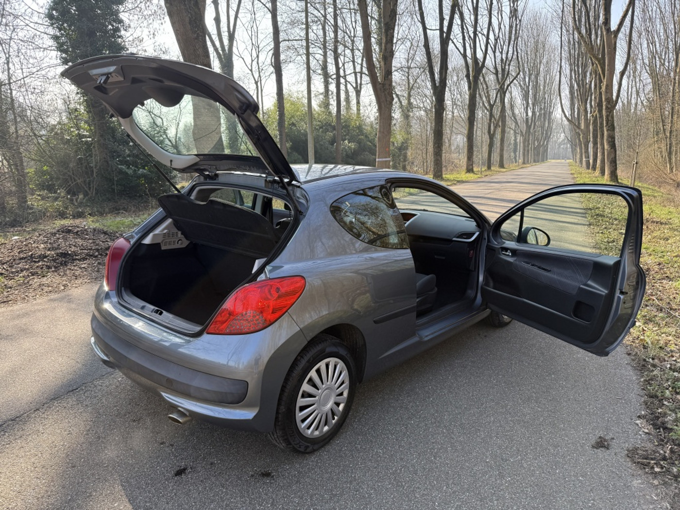 Foto van Peugeot 207