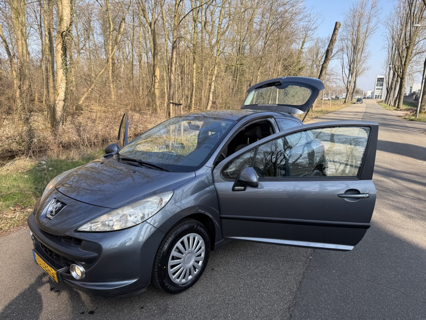 Foto van Peugeot 207
