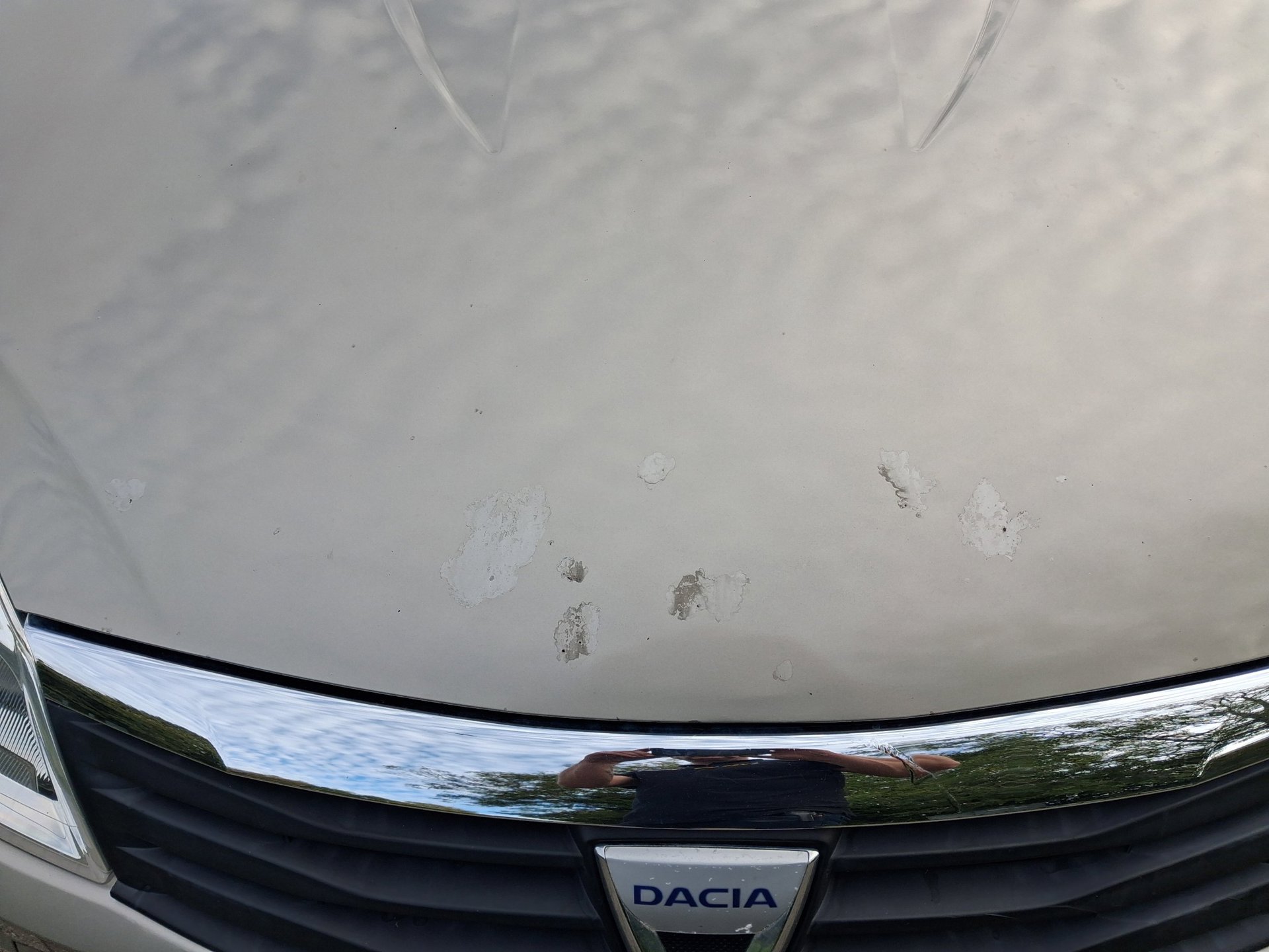 Foto van Dacia Sandero