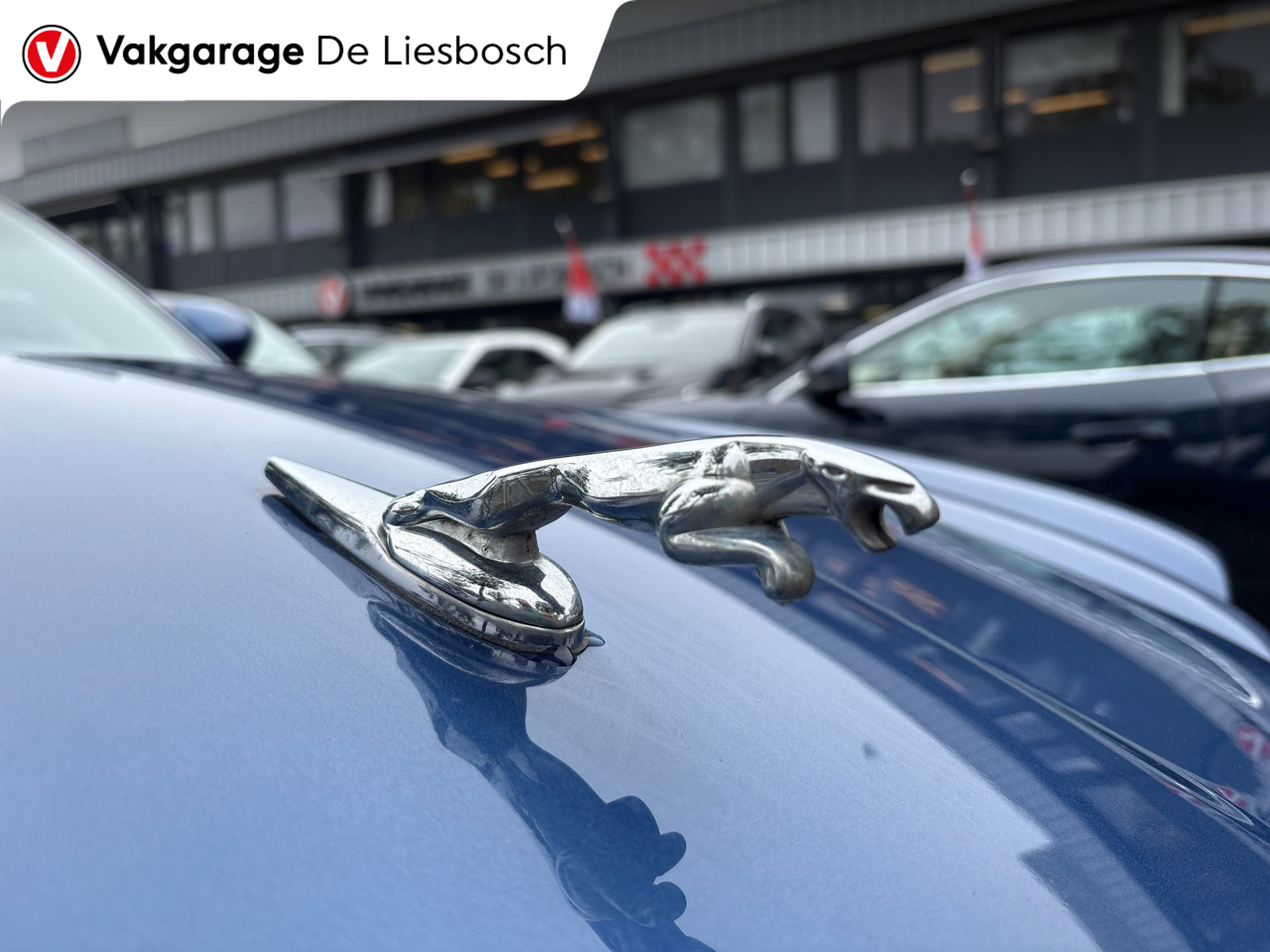 Foto van Jaguar XJ