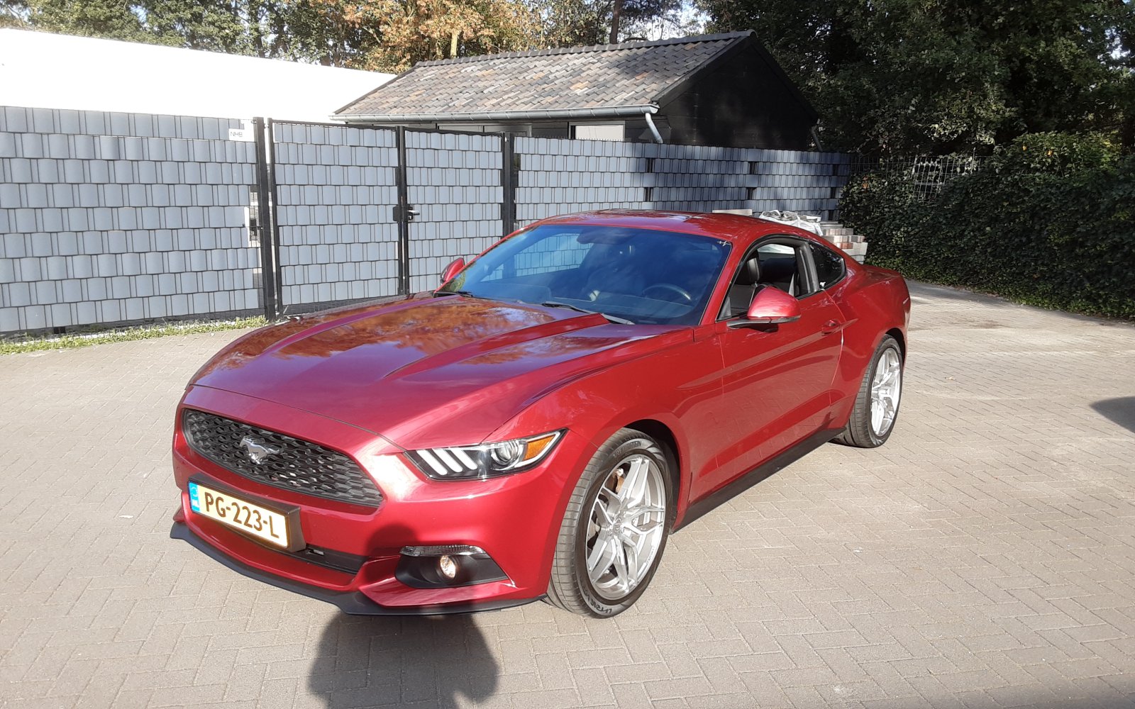 Inspectiefoto van Ford Mustang Fastback