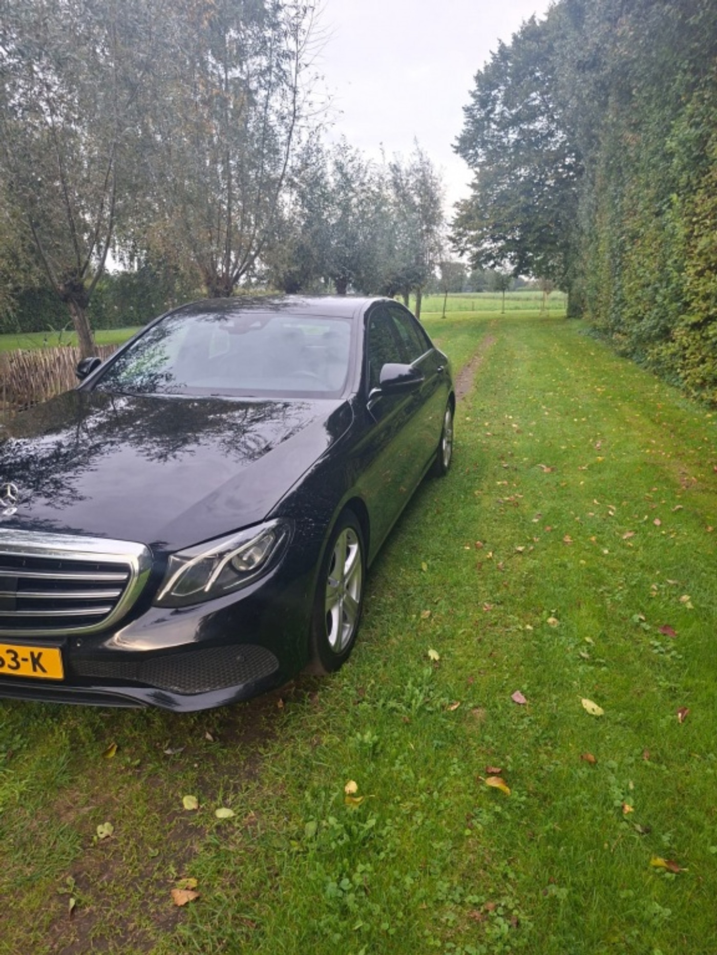 Foto van Mercedes-Benz E 350 D
